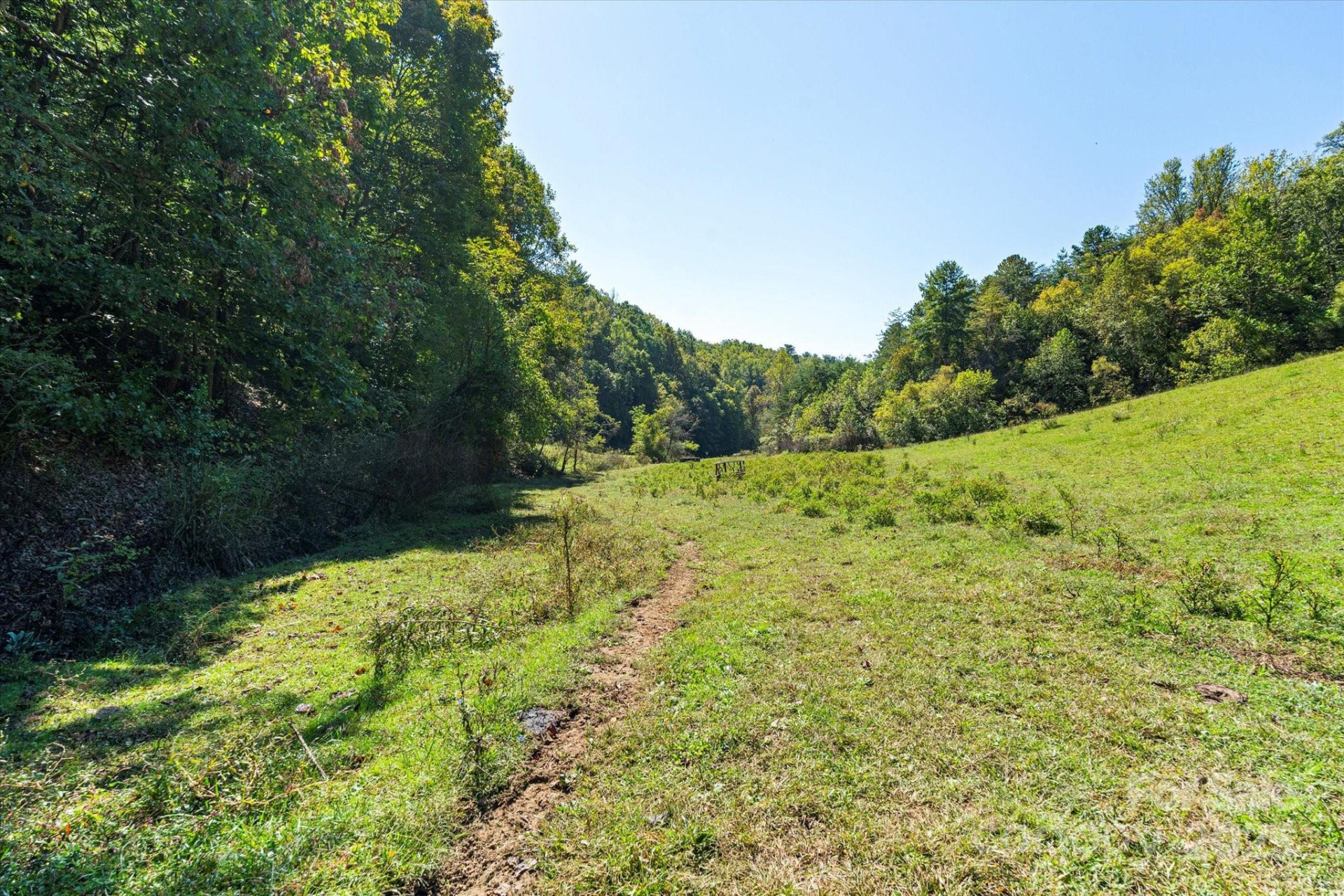 1623 Ammons Branch Road - Photo 13