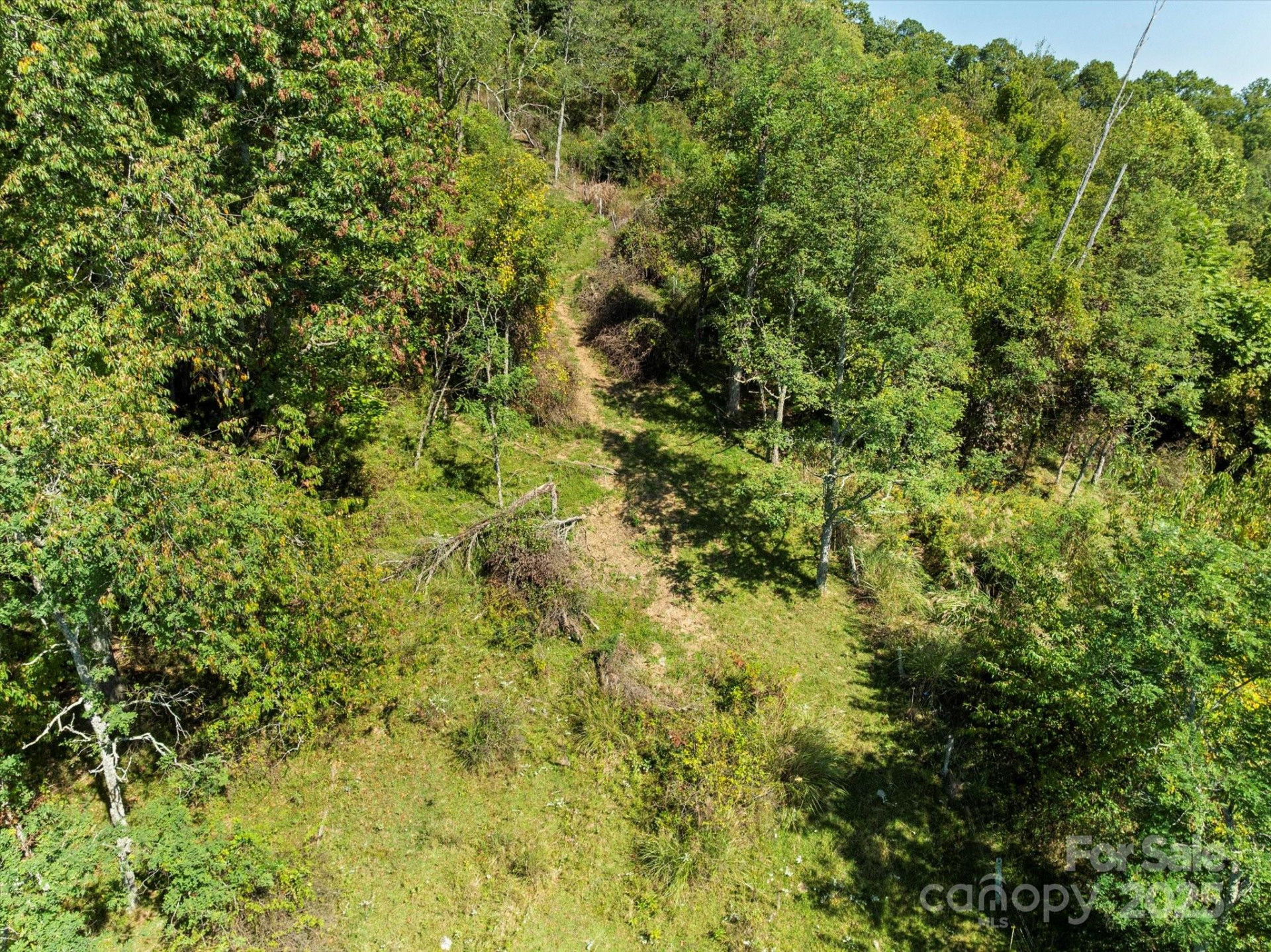 1623 Ammons Branch Road - Photo 15