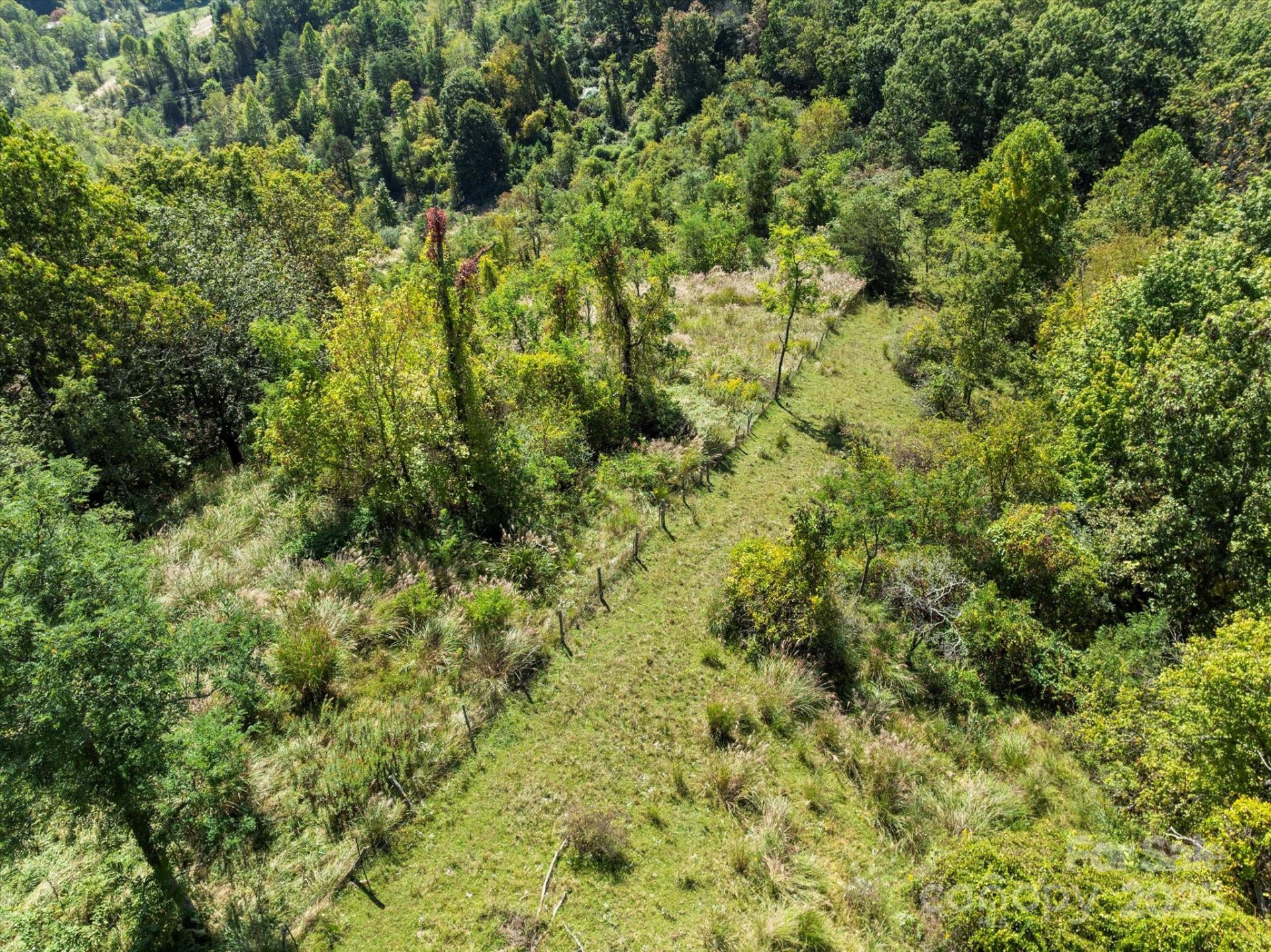 1623 Ammons Branch Road - Photo 16