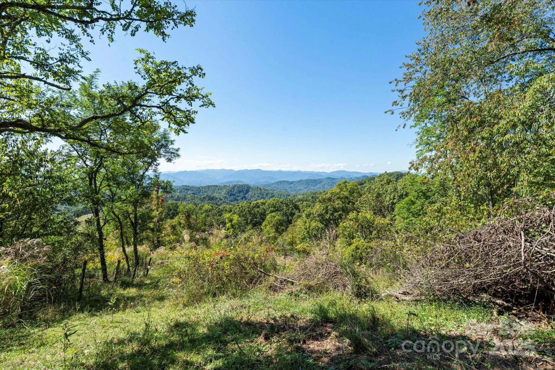 1623 Ammons Branch Road - Photo 3