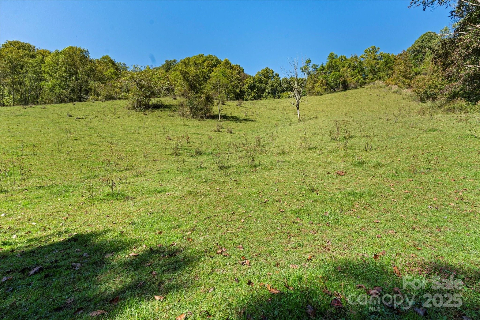 1623 Ammons Branch Road - Photo 4