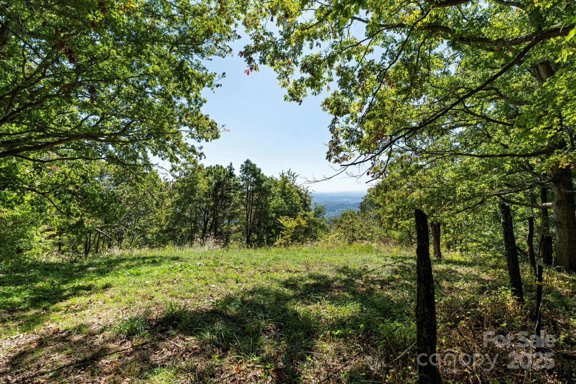 1623 Ammons Branch Road - Photo 7