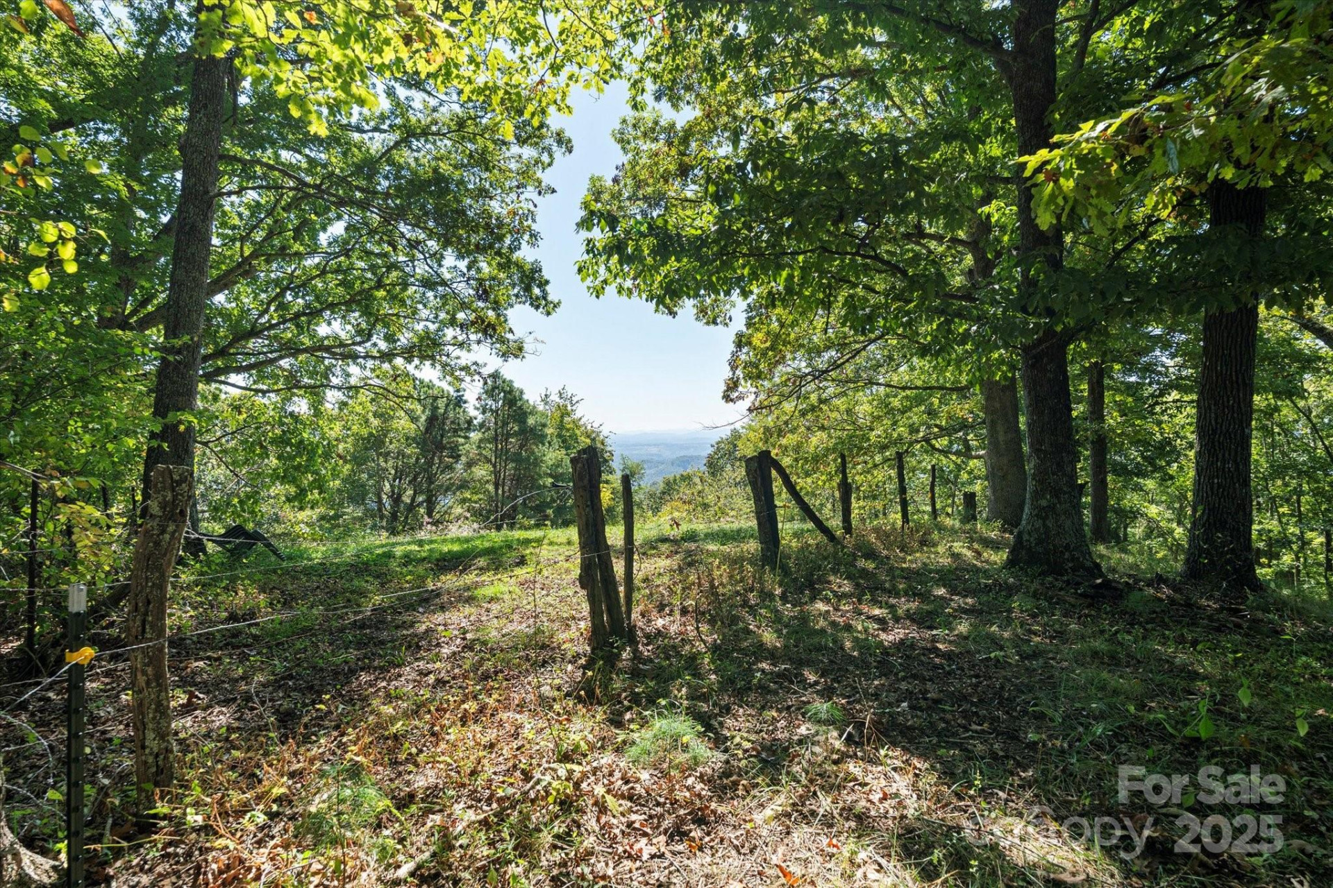 1623 Ammons Branch Road - Photo 8