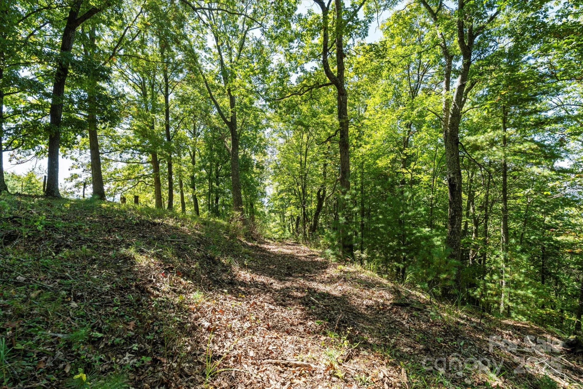 1623 Ammons Branch Road - Photo 9