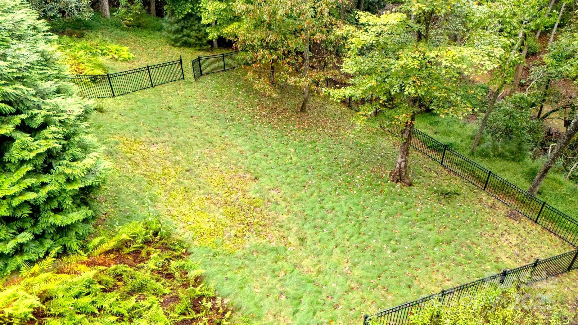 23 Dividing Ridge Trail - Photo 33