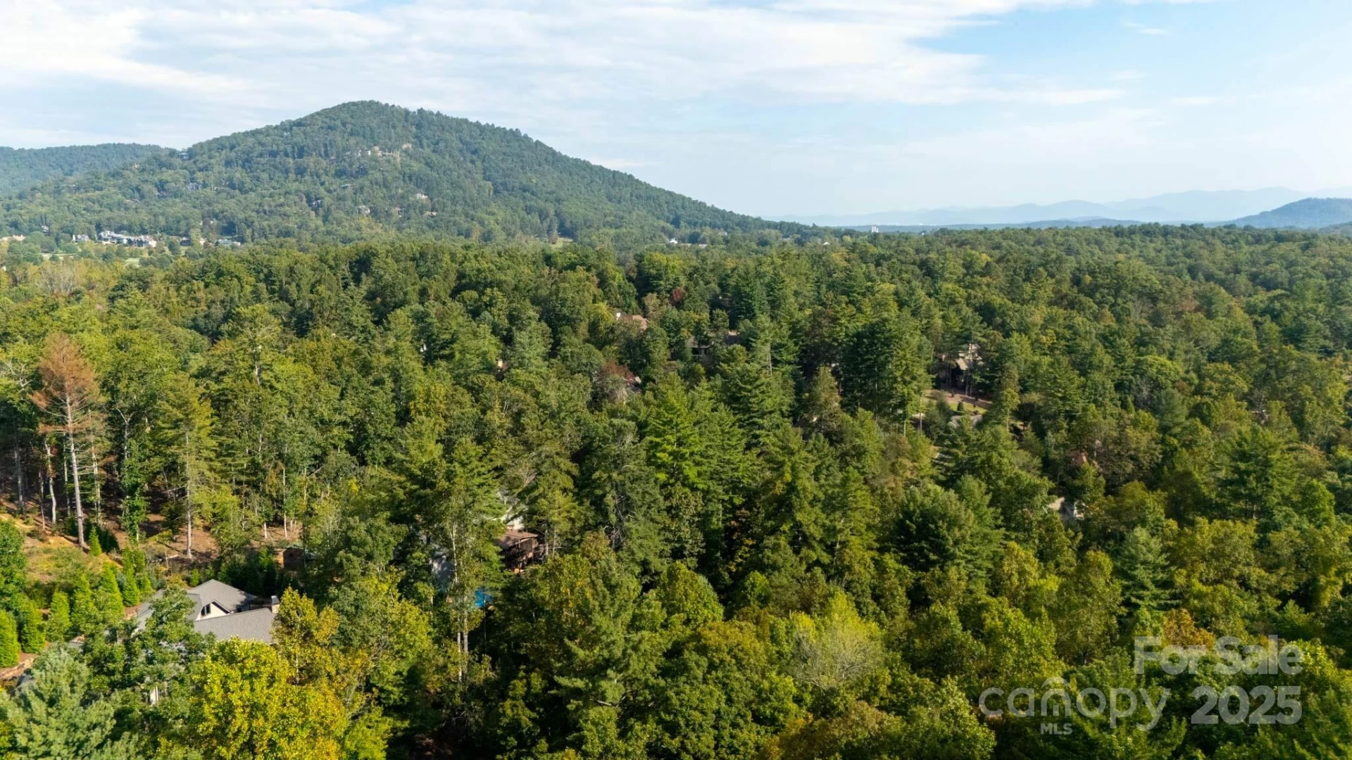 23 Dividing Ridge Trail - Photo 34