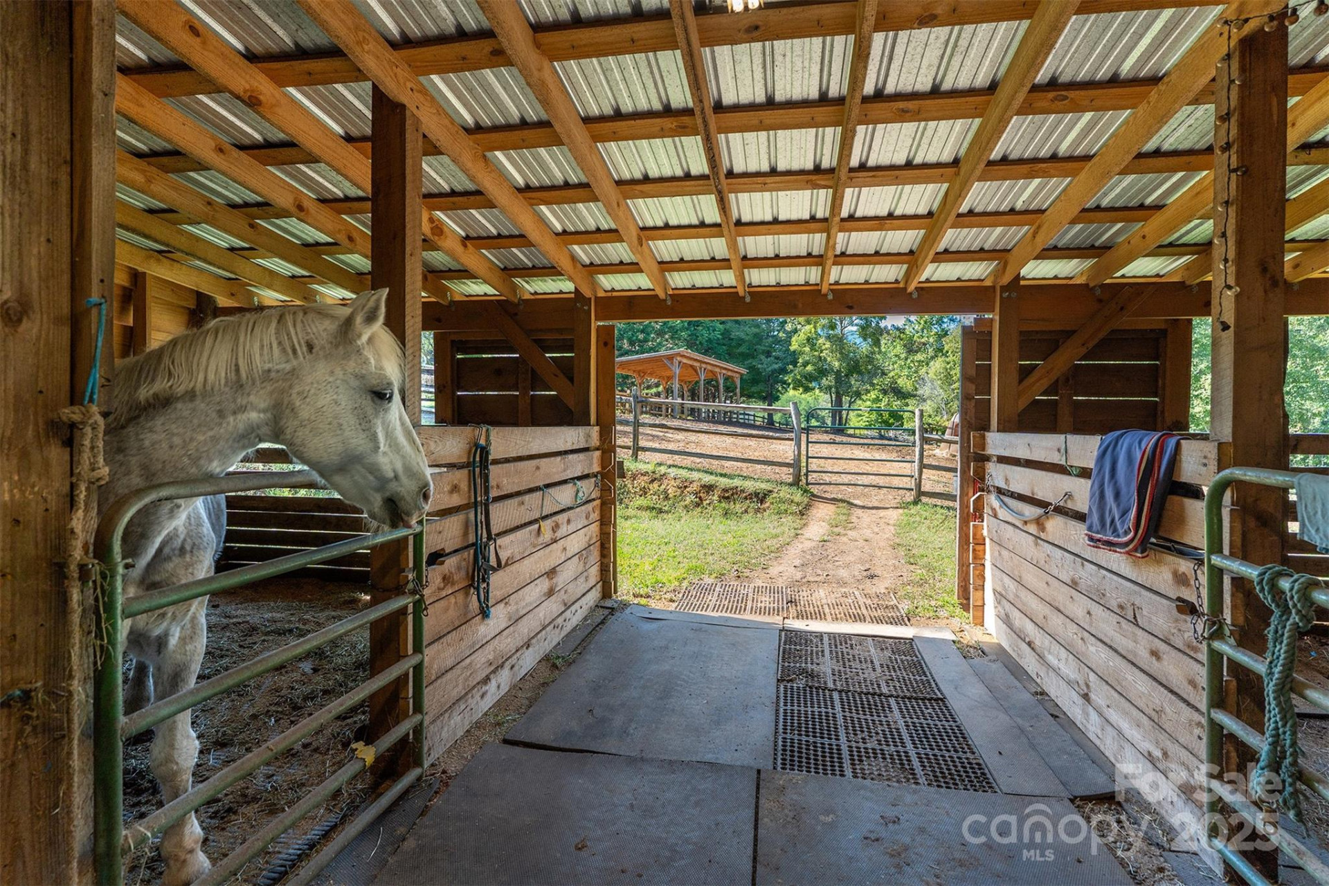 1434 Lake Adger Road - Photo 37