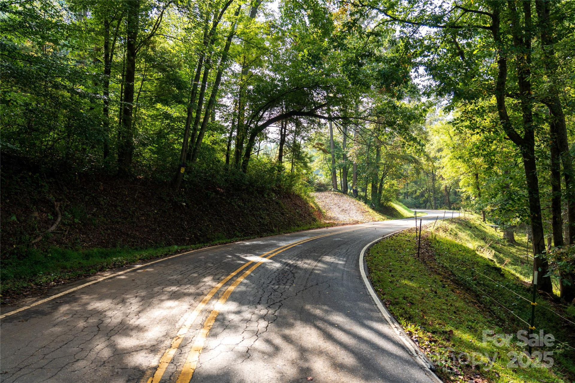 00 Cope Creek Road - Photo 2