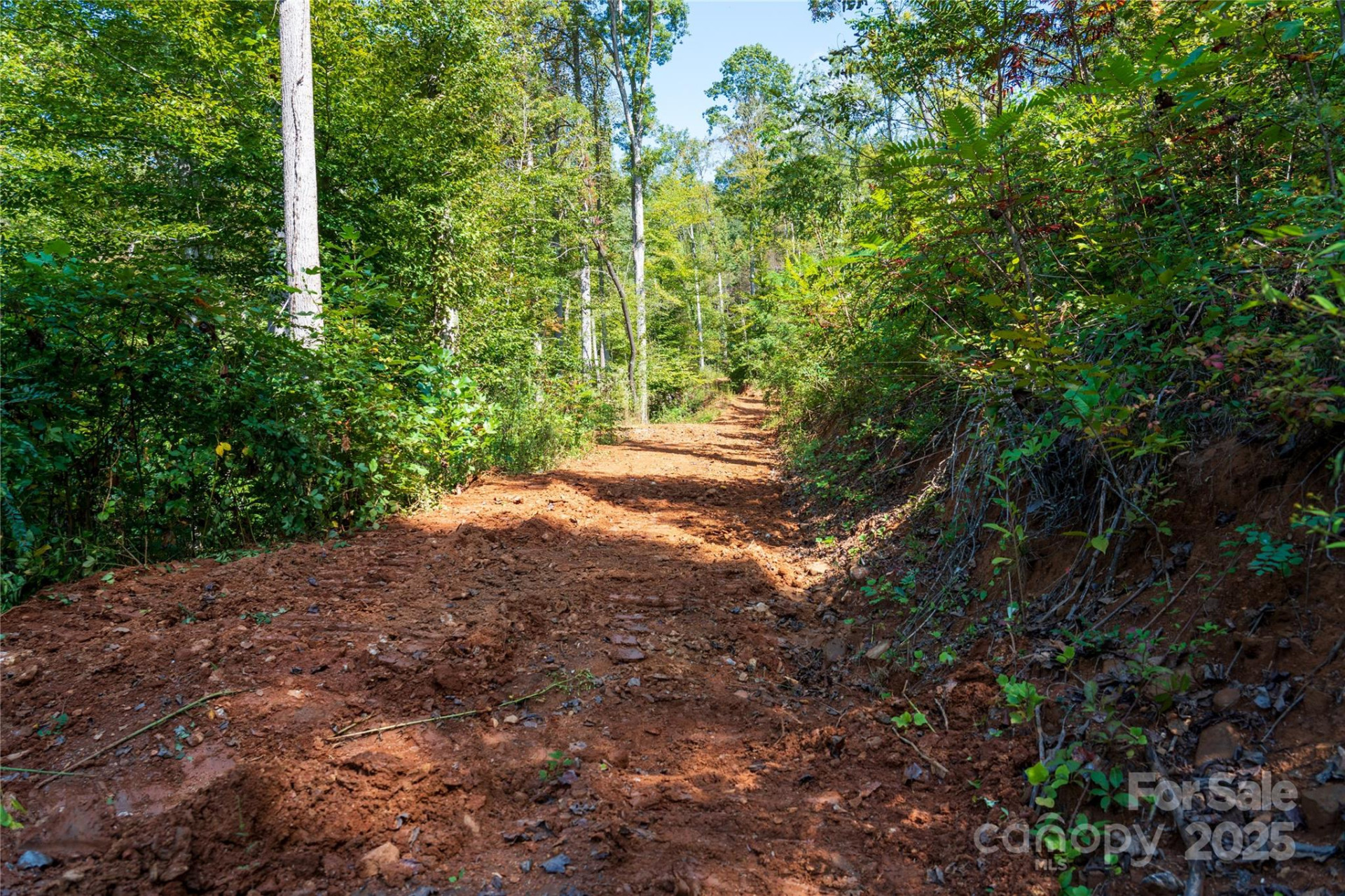 00 Cope Creek Road - Photo 11