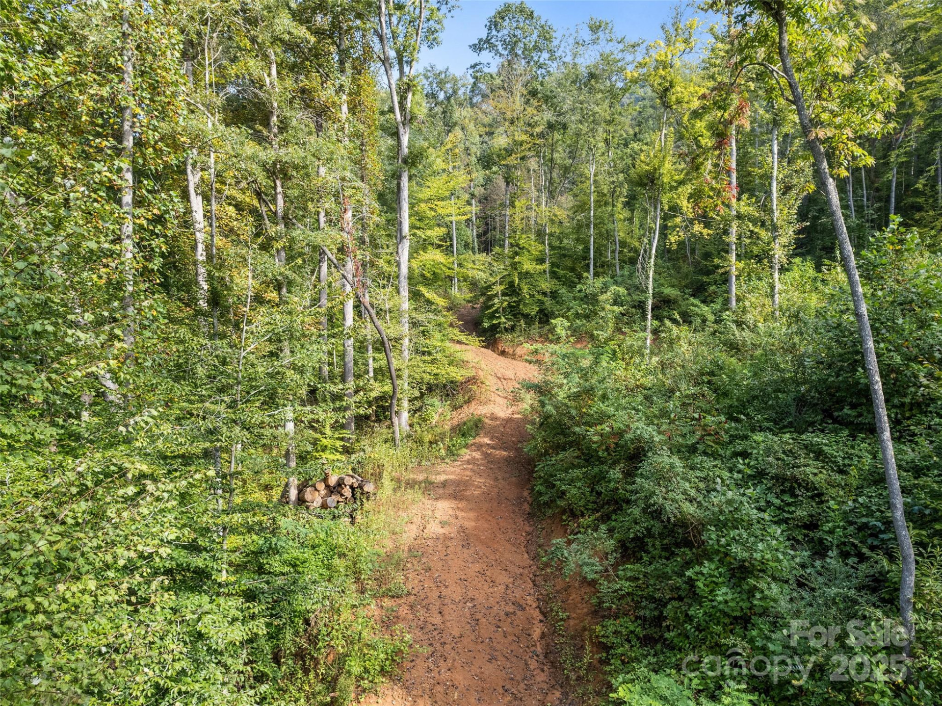 00 Cope Creek Road - Photo 12