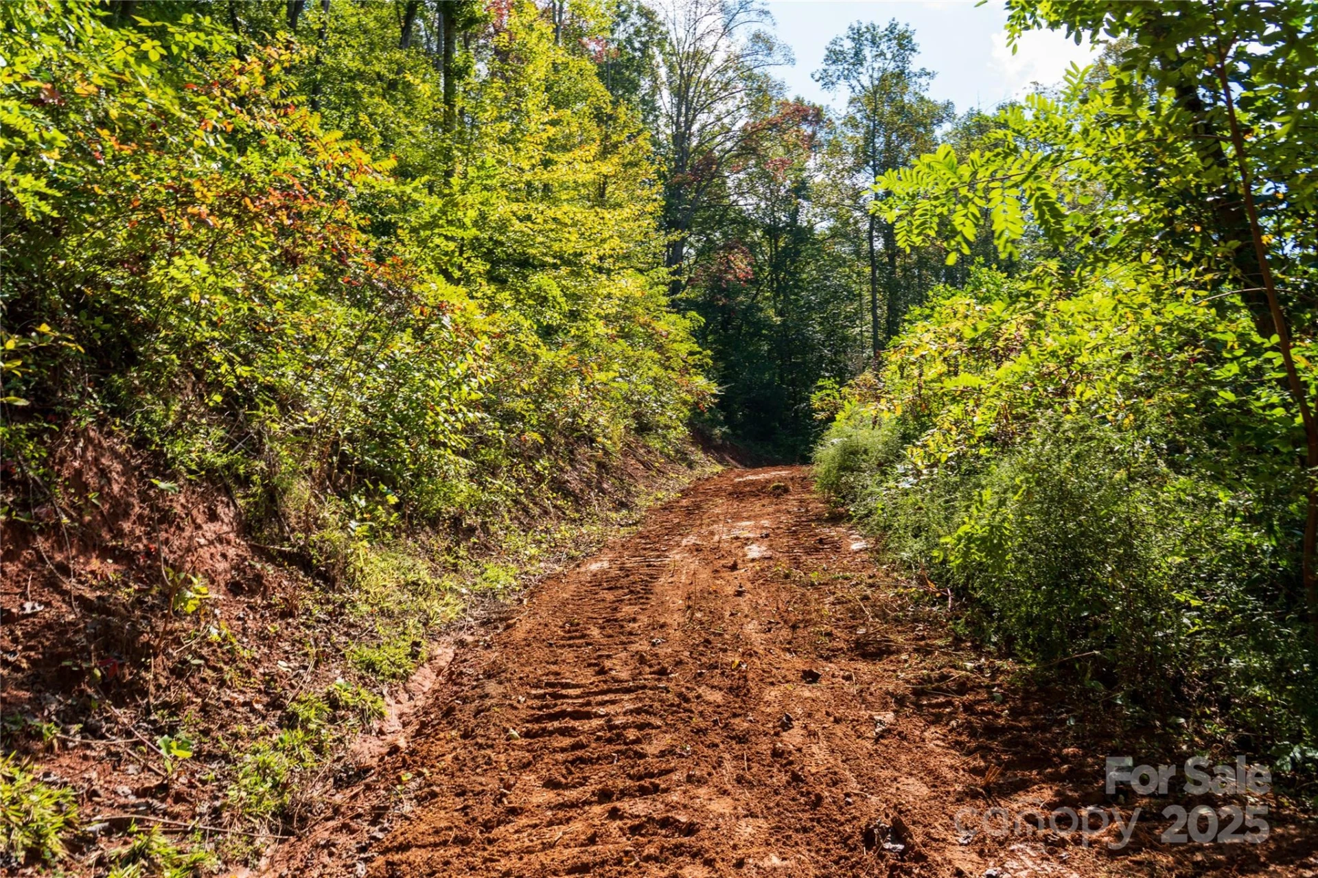 00 Cope Creek Road - Photo 14