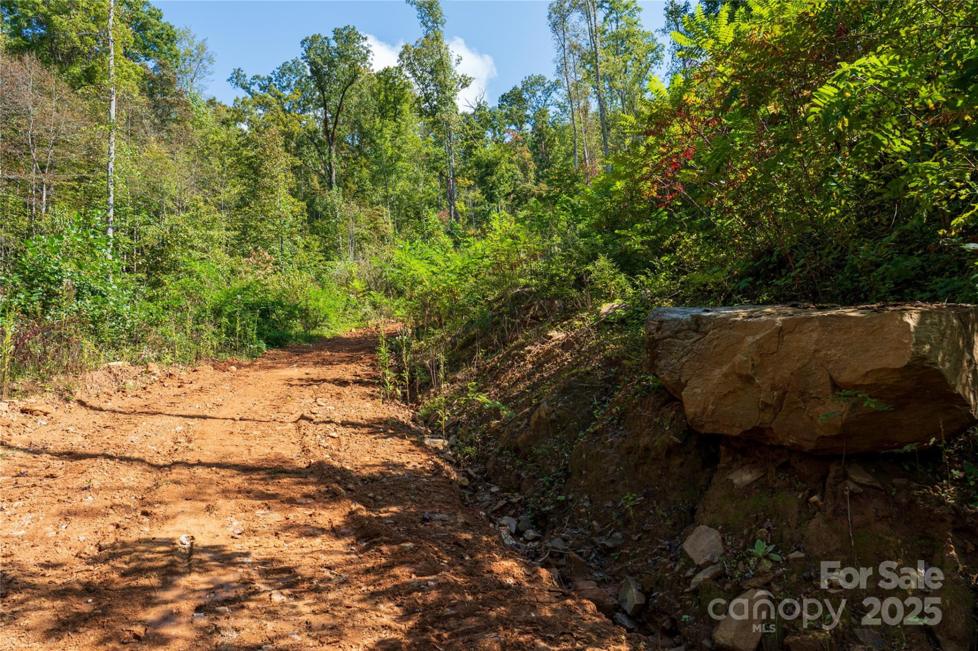 00 Cope Creek Road - Photo 16