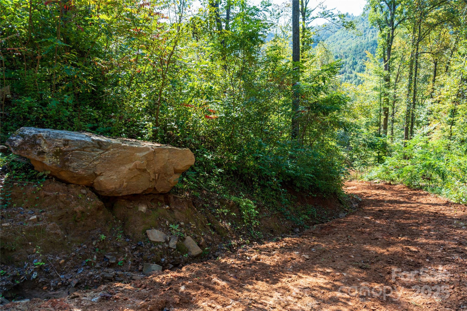 00 Cope Creek Road - Photo 17