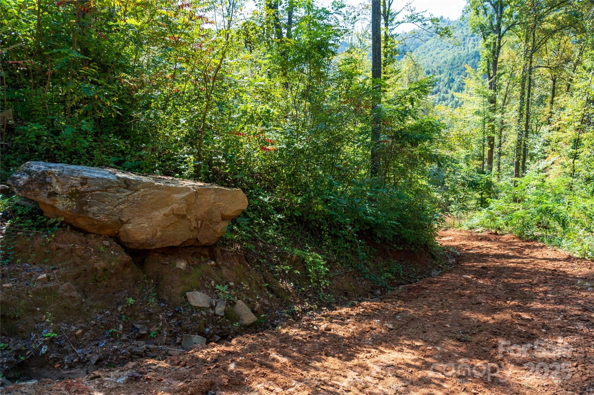 00 Cope Creek Road - Photo 17