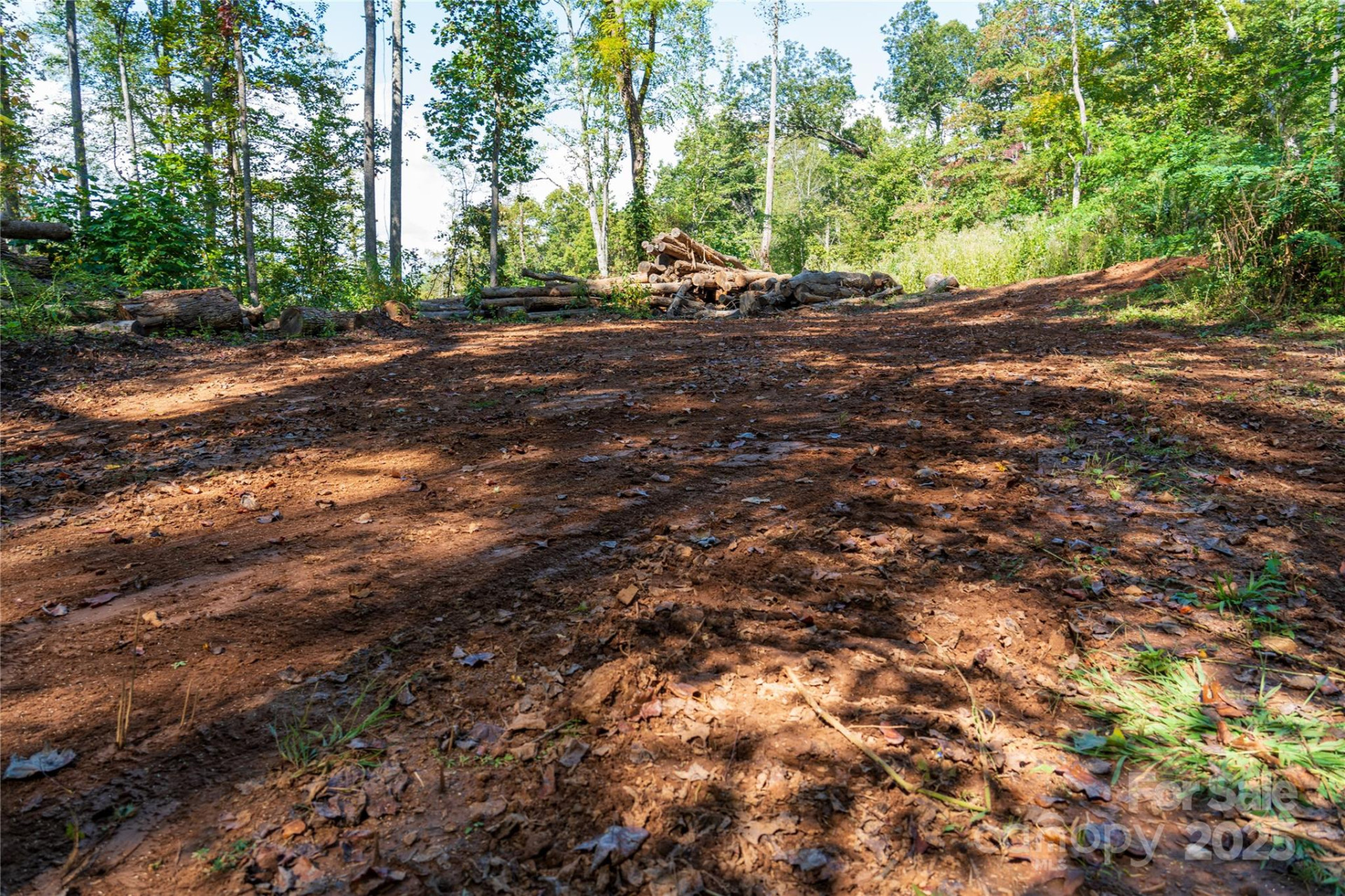 00 Cope Creek Road - Photo 18
