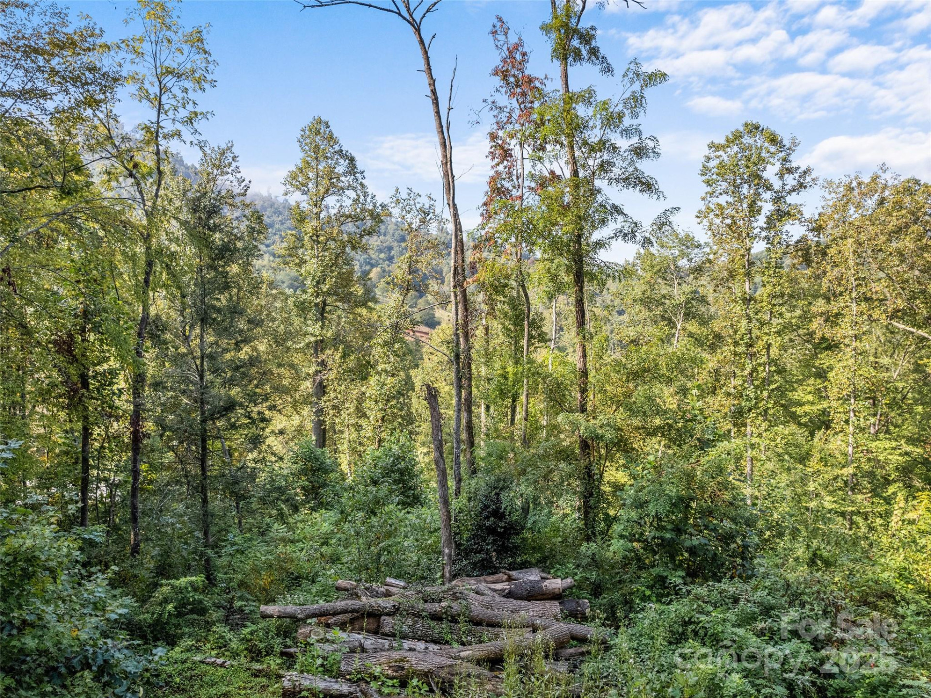 00 Cope Creek Road - Photo 20