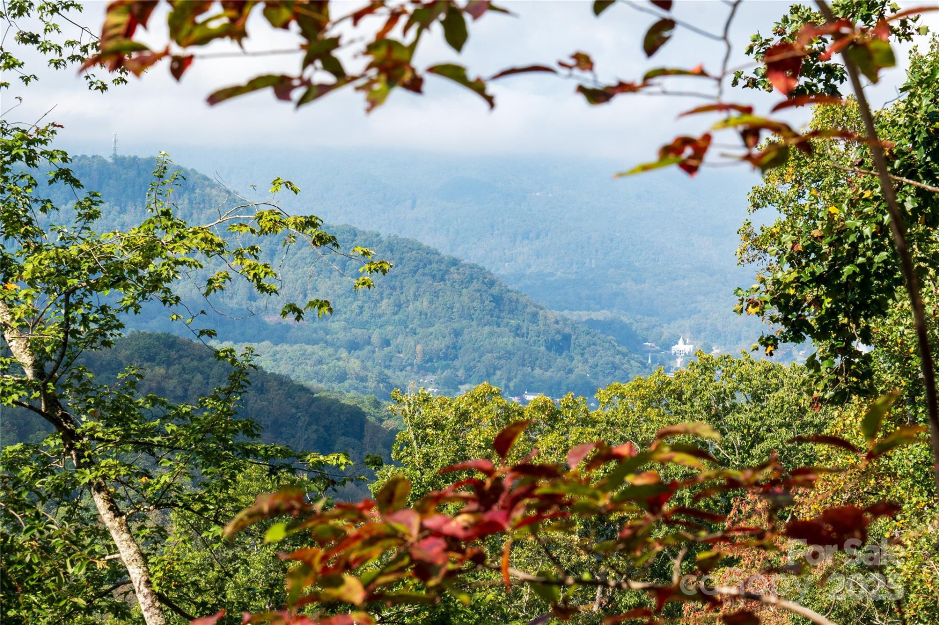 00 Cope Creek Road - Photo 3