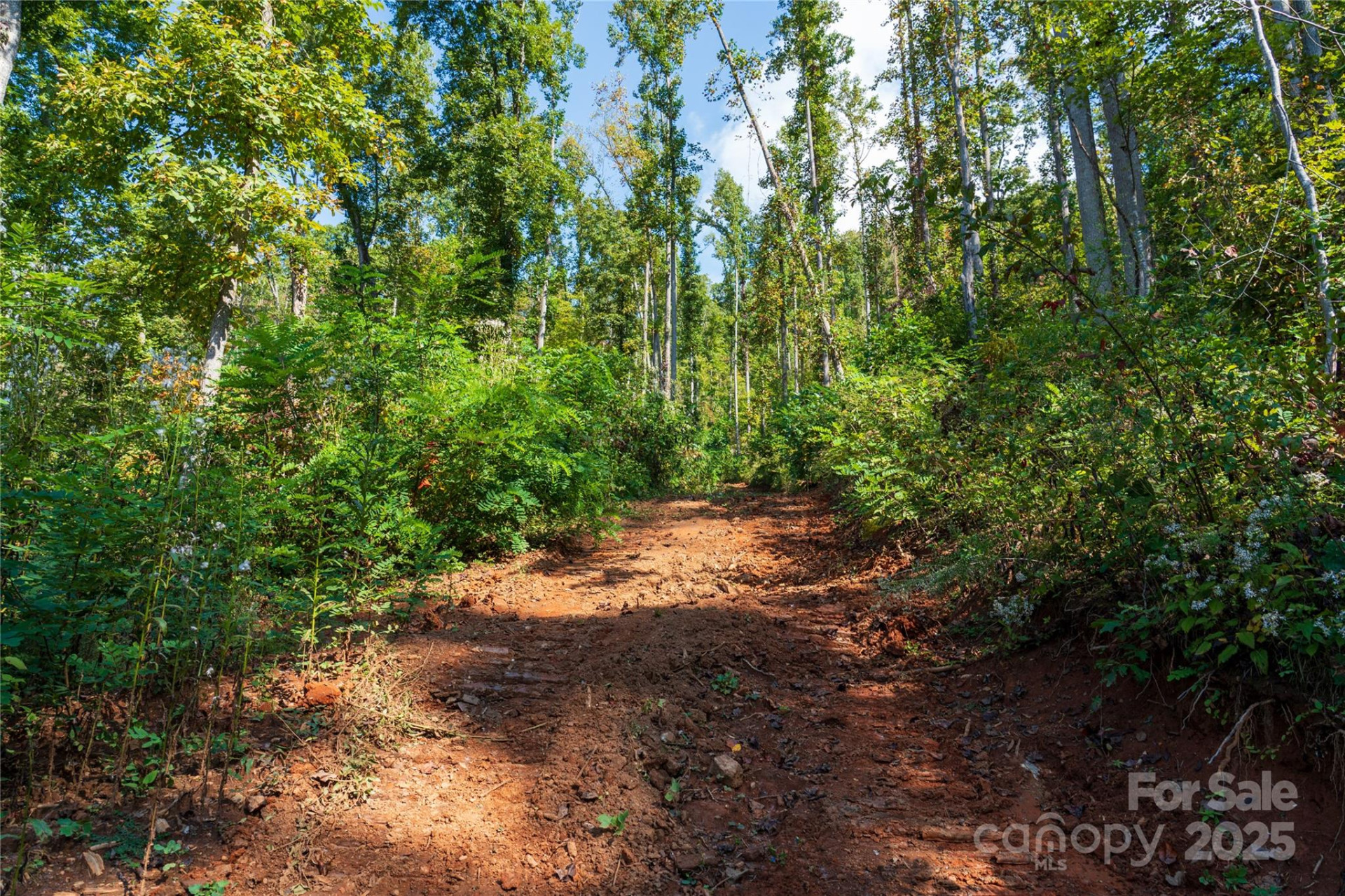 00 Cope Creek Road - Photo 21