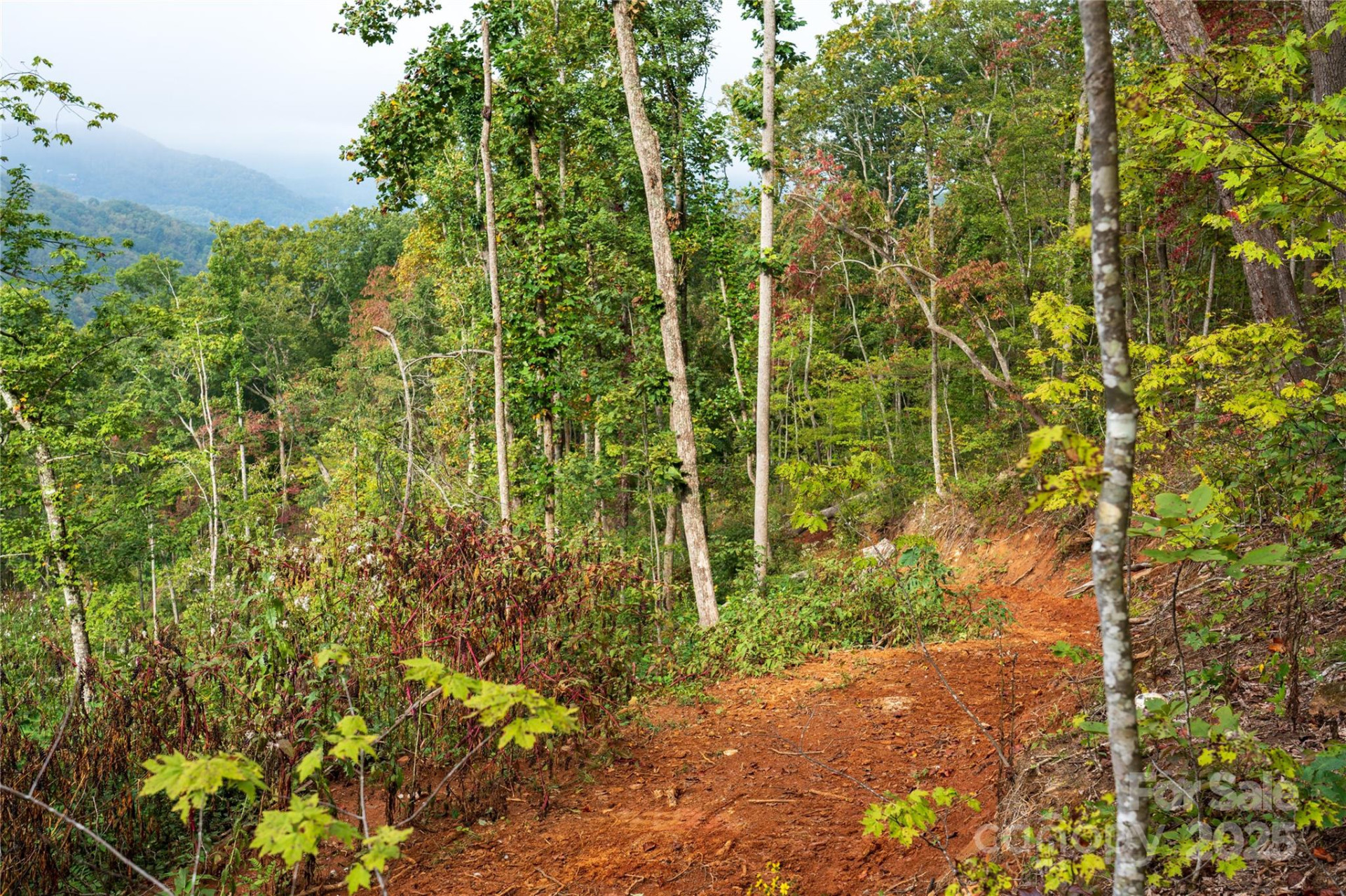 00 Cope Creek Road - Photo 23