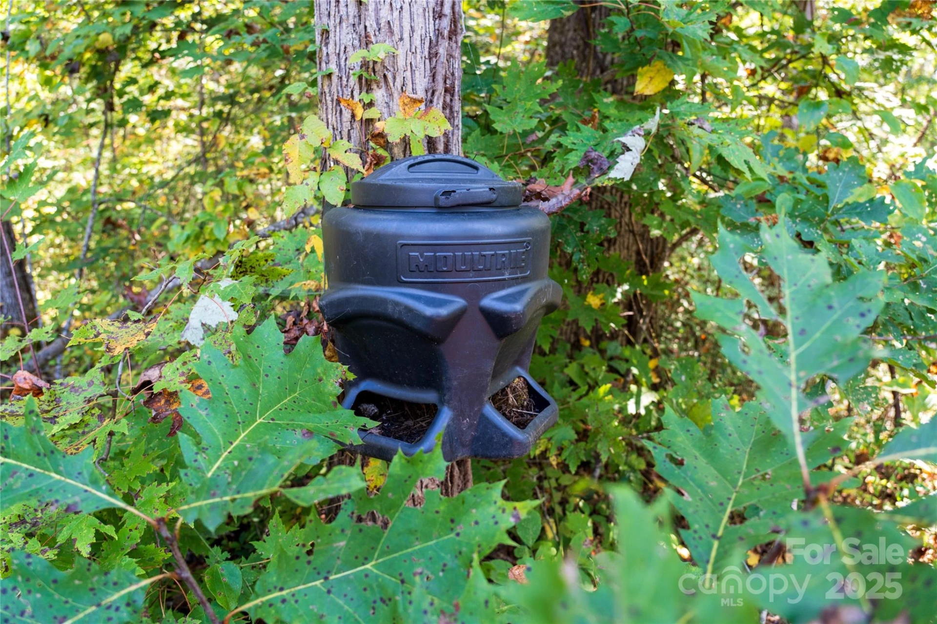 00 Cope Creek Road - Photo 24