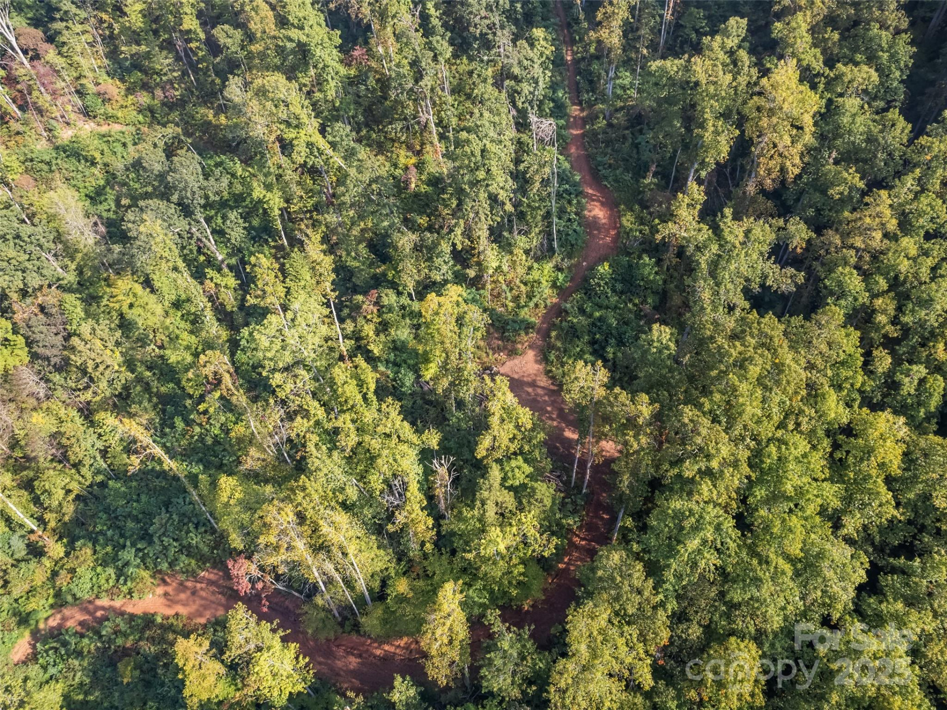 00 Cope Creek Road - Photo 25