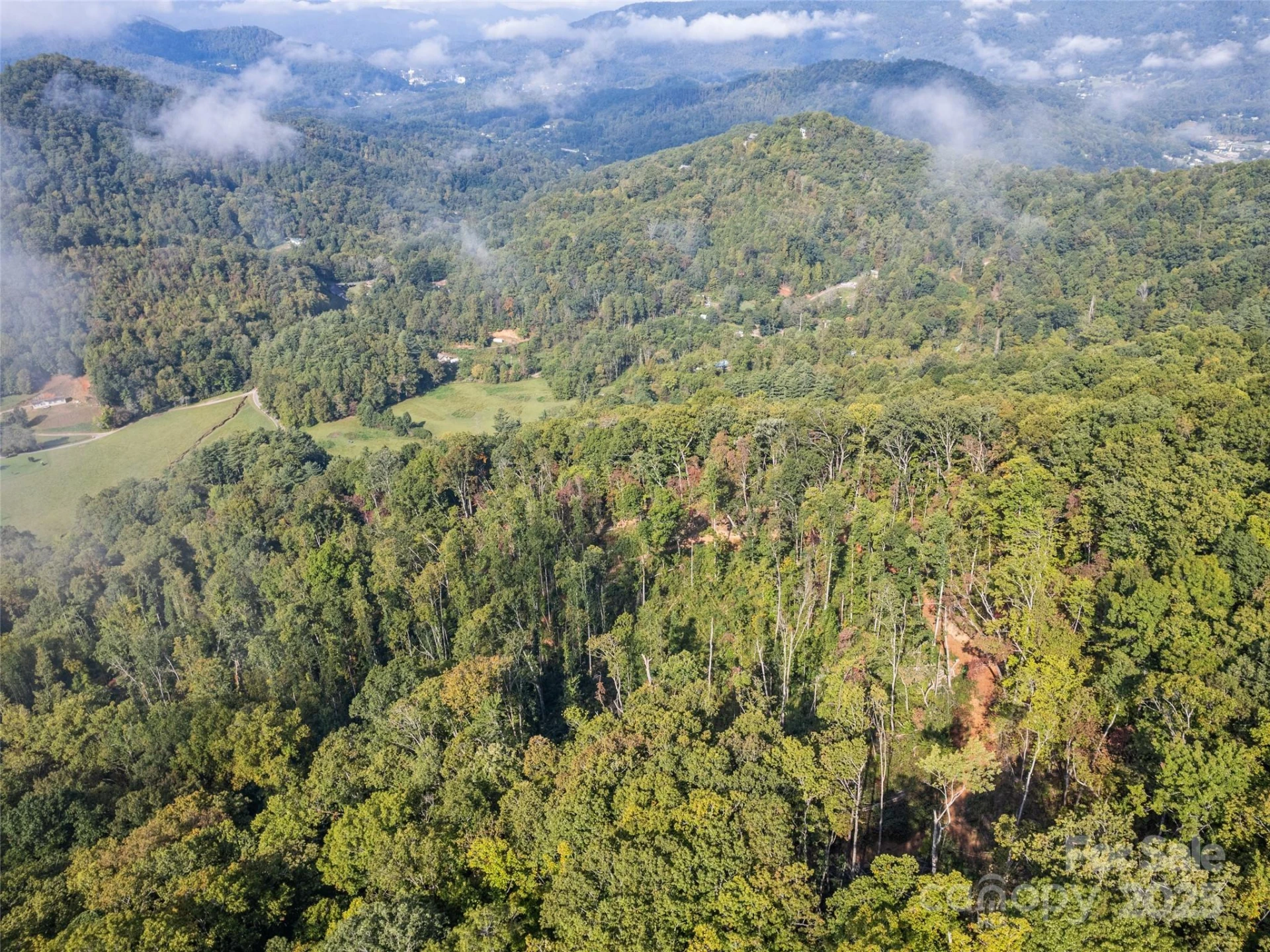 00 Cope Creek Road - Photo 26