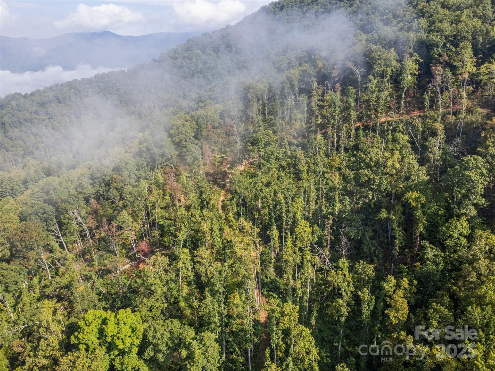 00 Cope Creek Road - Photo 27