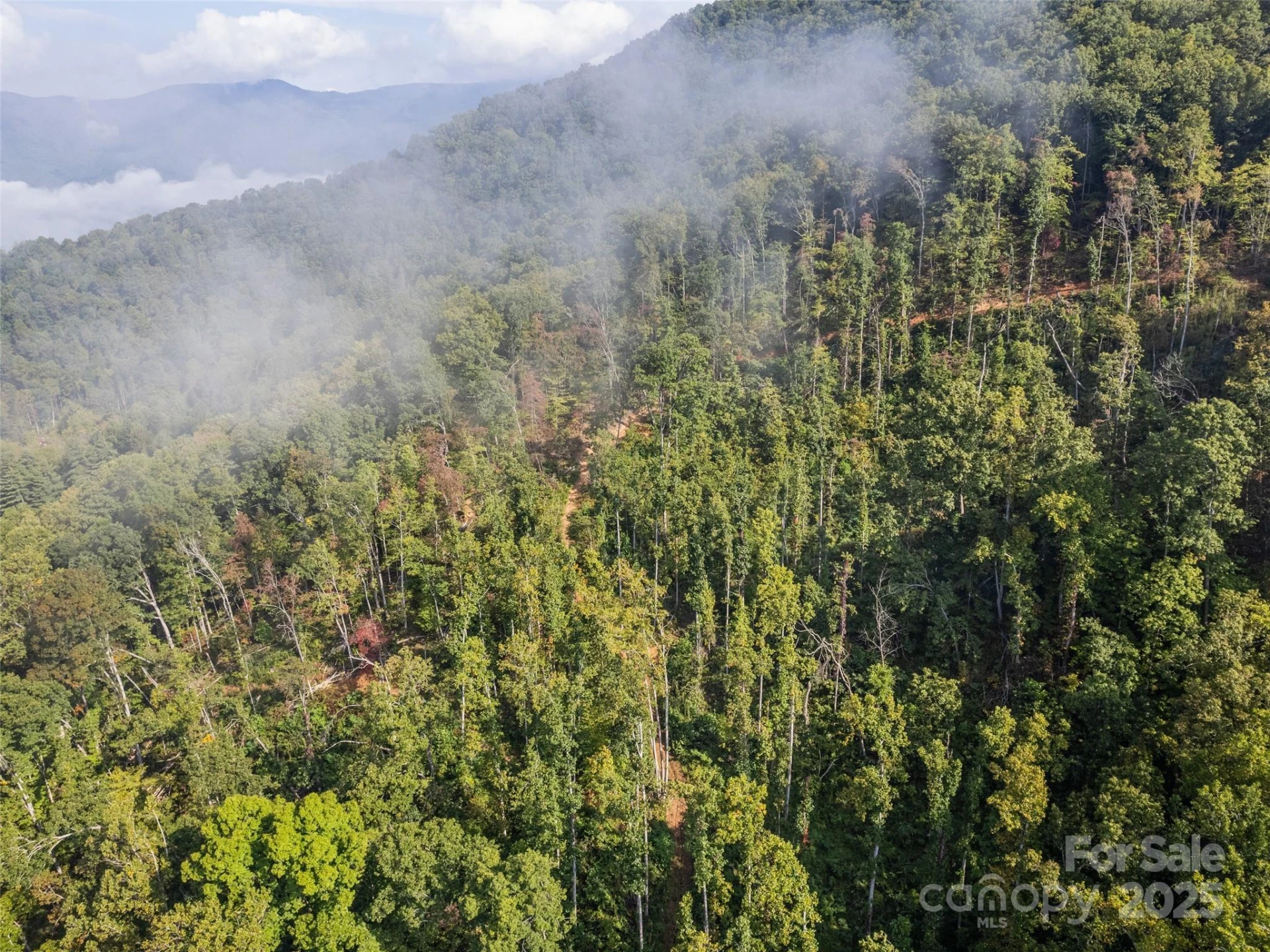 00 Cope Creek Road - Photo 27