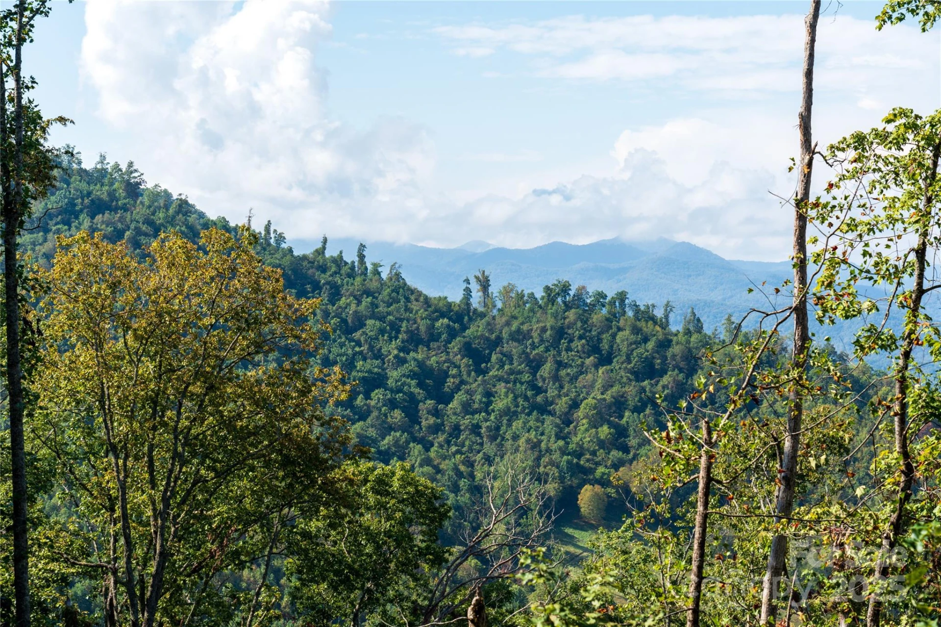 00 Cope Creek Road - Photo 4