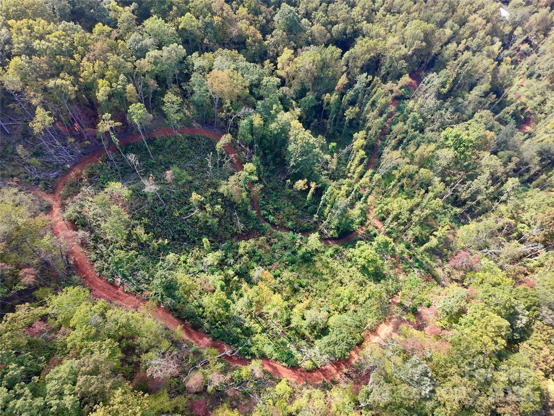 00 Cope Creek Road - Photo 7