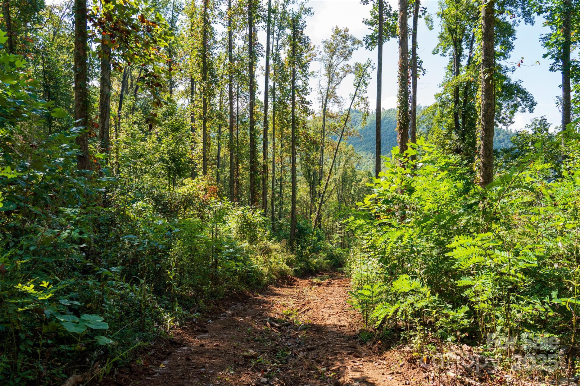 00 Cope Creek Road - Photo 9