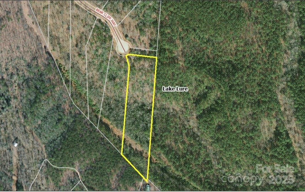 0 Bear Cliff Way #60 - Photo 3