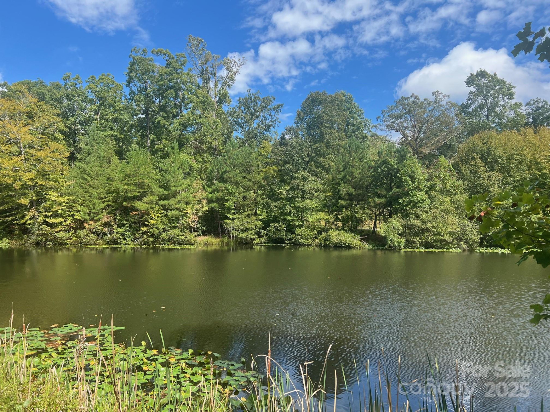 TBD Blue Horse Lane - Photo 2