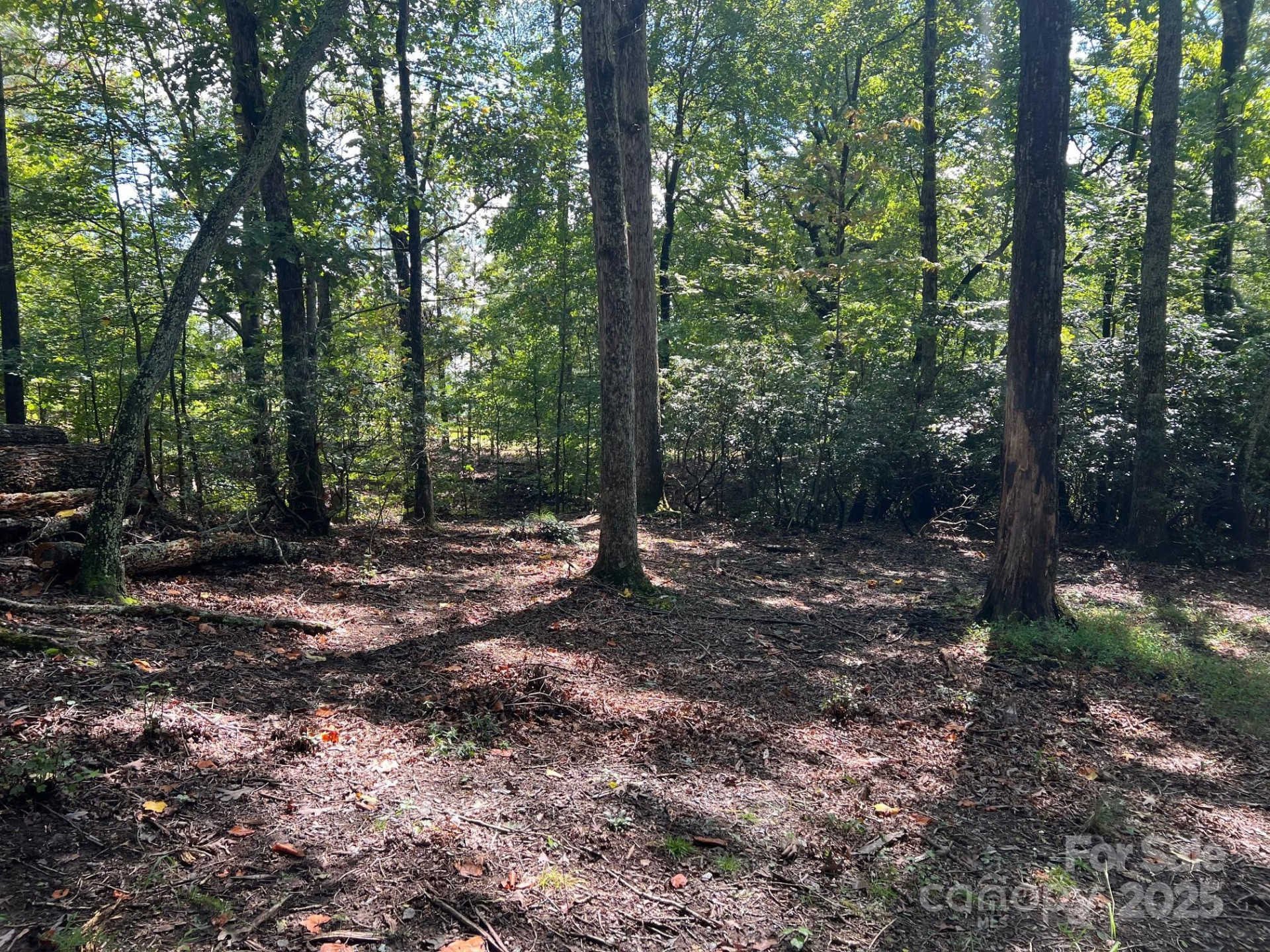 TBD Blue Horse Lane - Photo 11