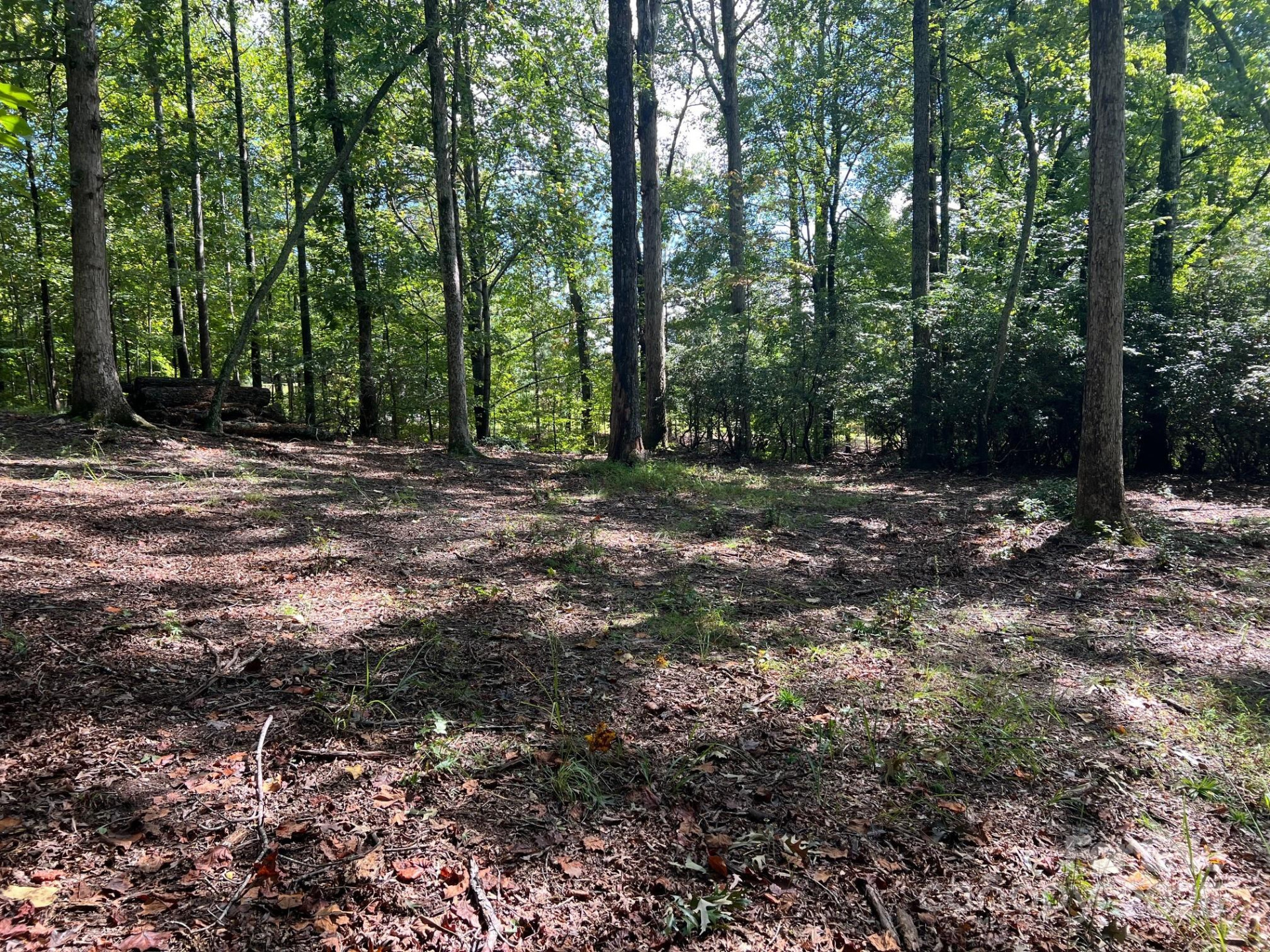 TBD Blue Horse Lane - Photo 12