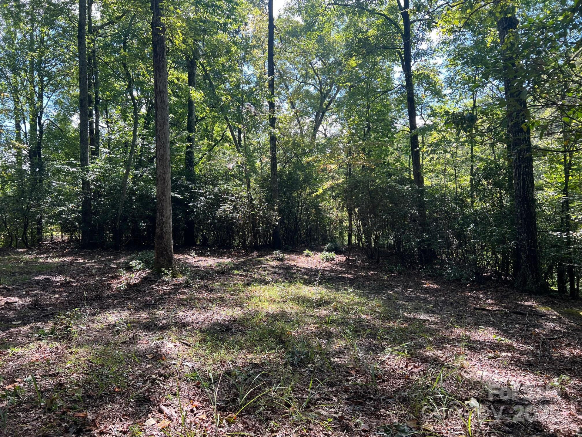 TBD Blue Horse Lane - Photo 13