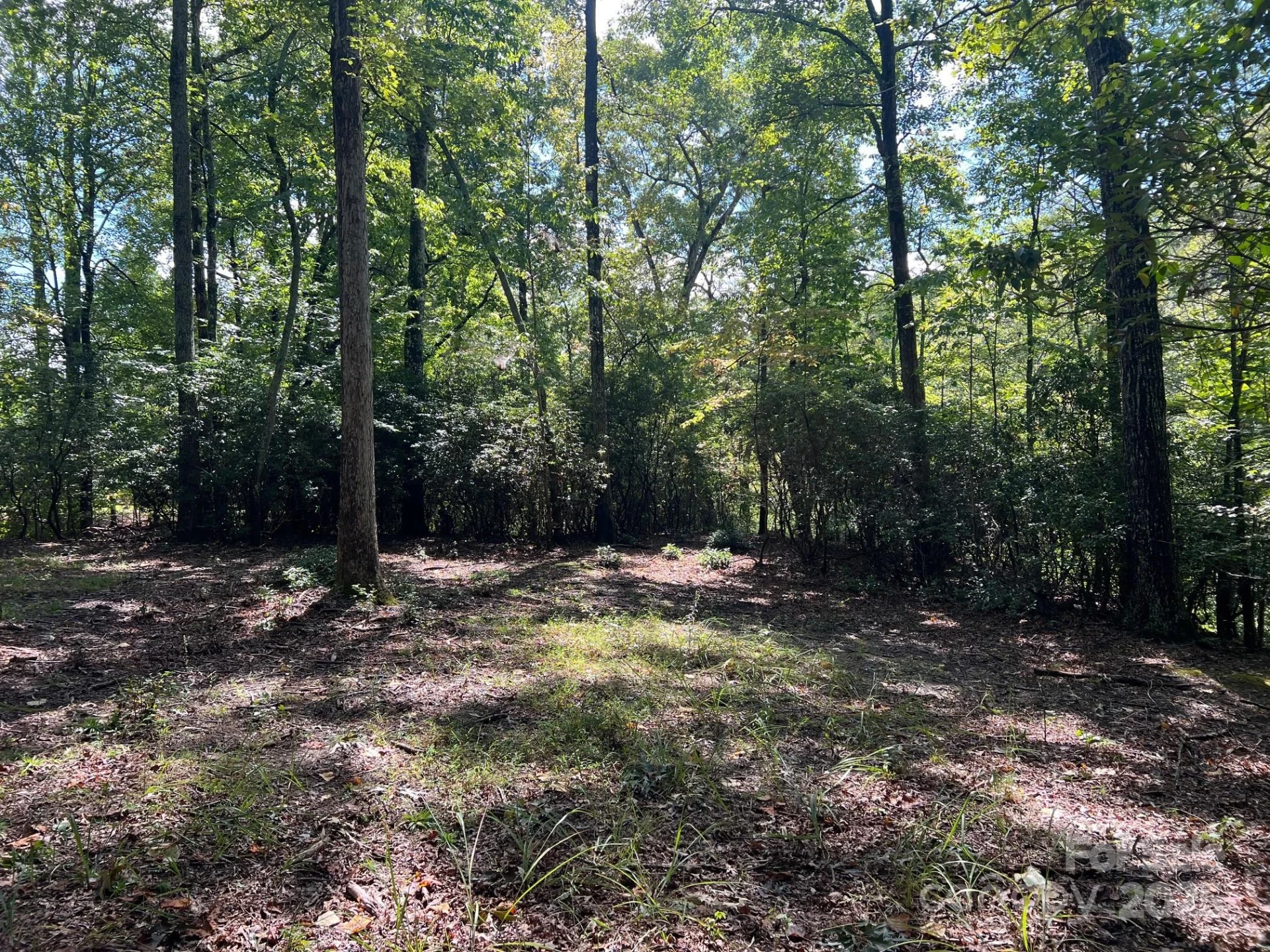 TBD Blue Horse Lane - Photo 13