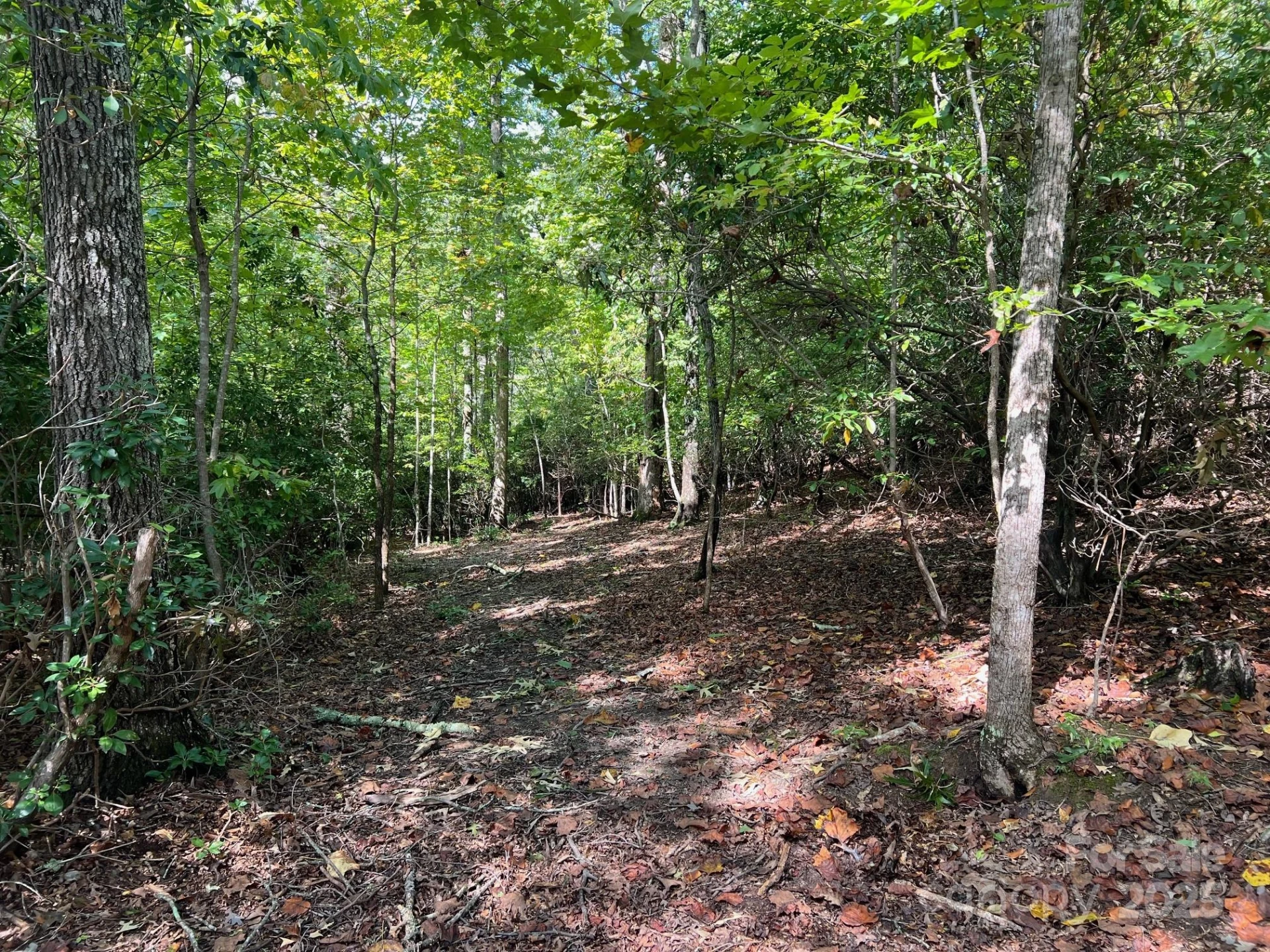 TBD Blue Horse Lane - Photo 14