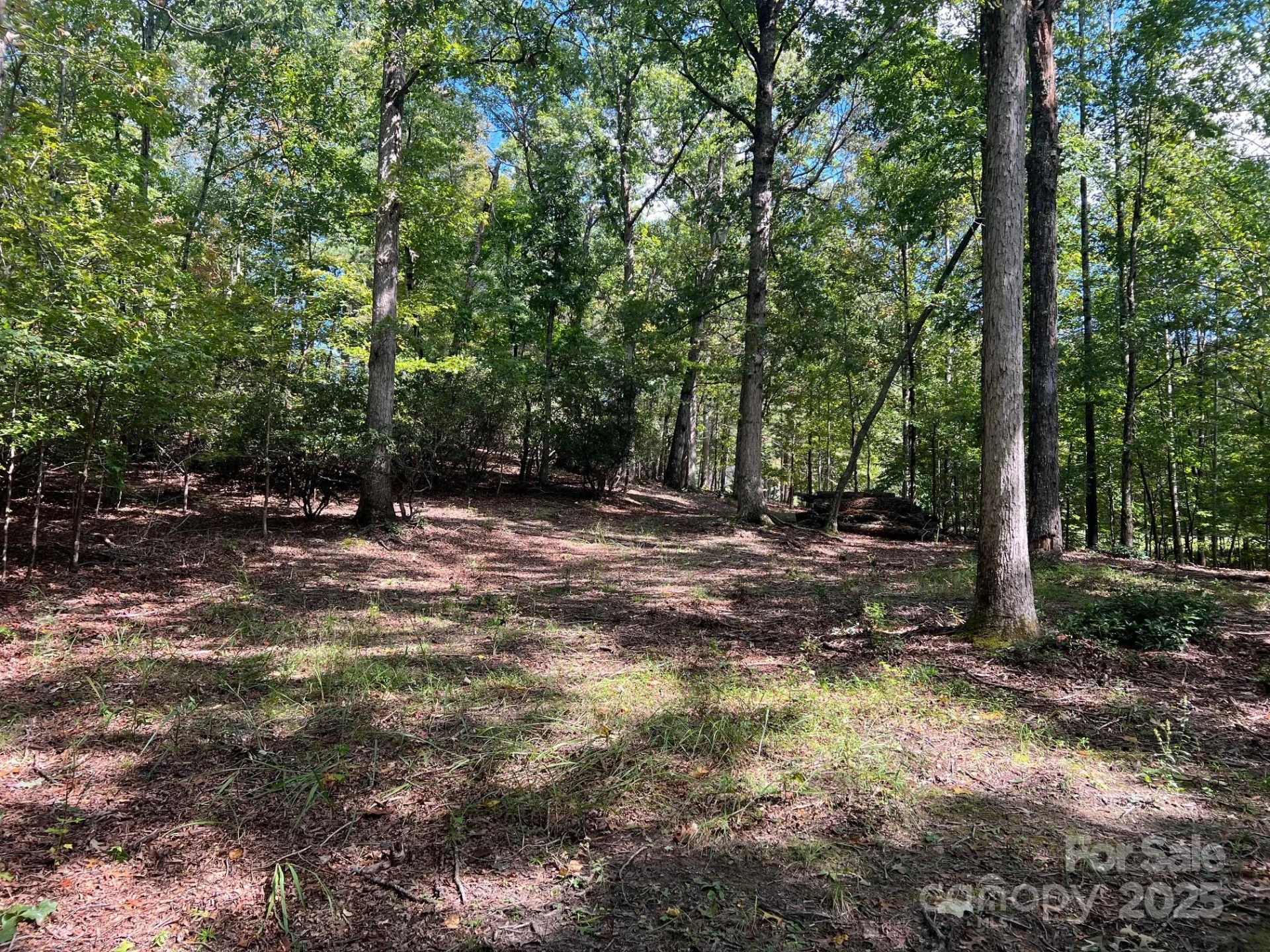 TBD Blue Horse Lane - Photo 15