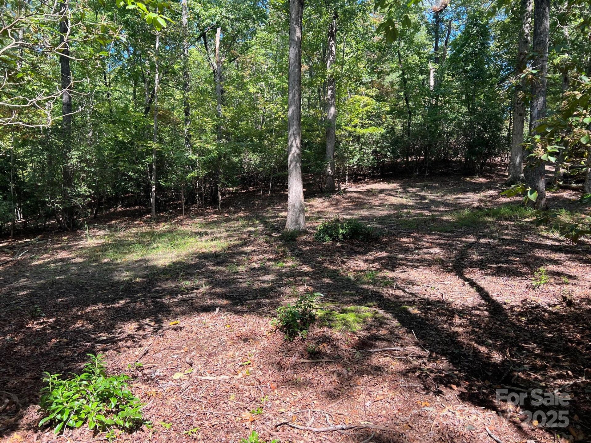 TBD Blue Horse Lane - Photo 16