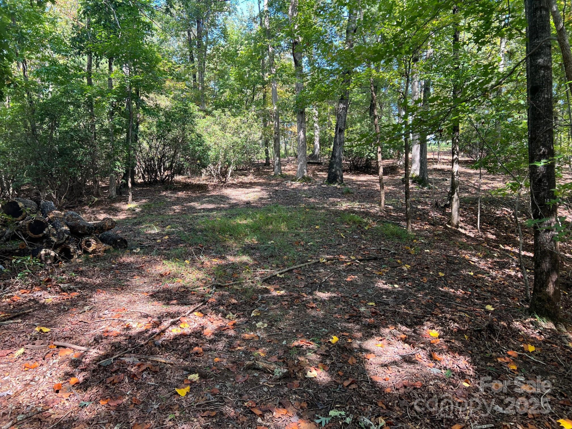 TBD Blue Horse Lane - Photo 17