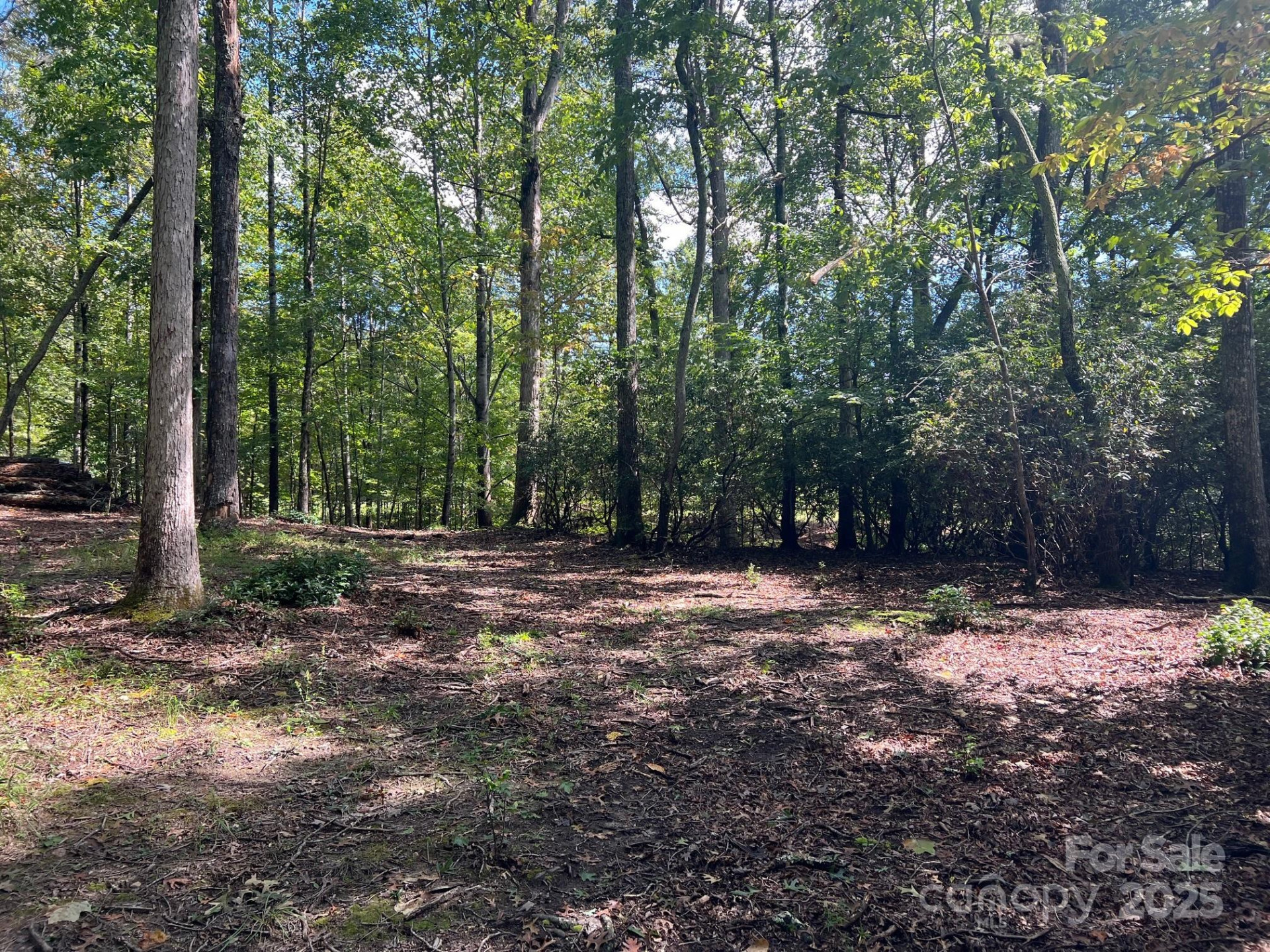 TBD Blue Horse Lane - Photo 18