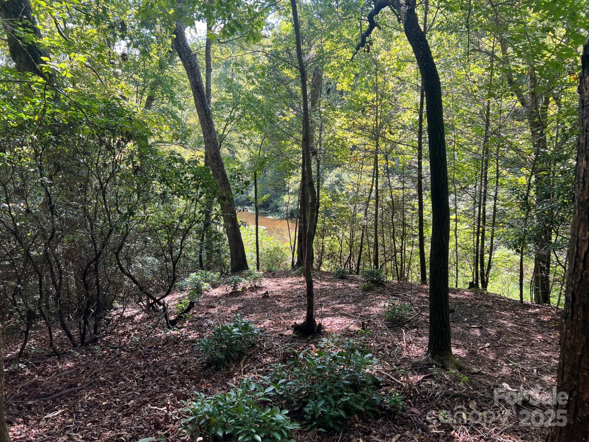 TBD Blue Horse Lane - Photo 20