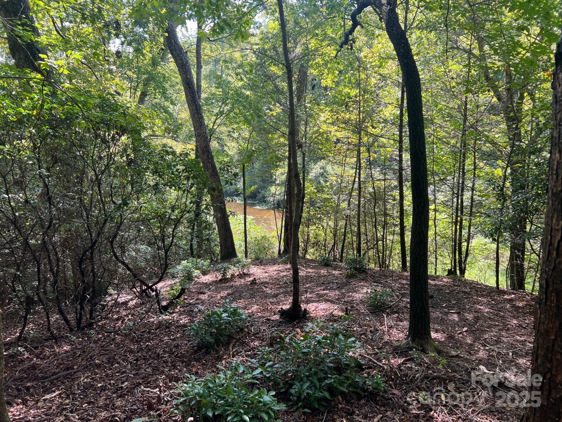 TBD Blue Horse Lane - Photo 20