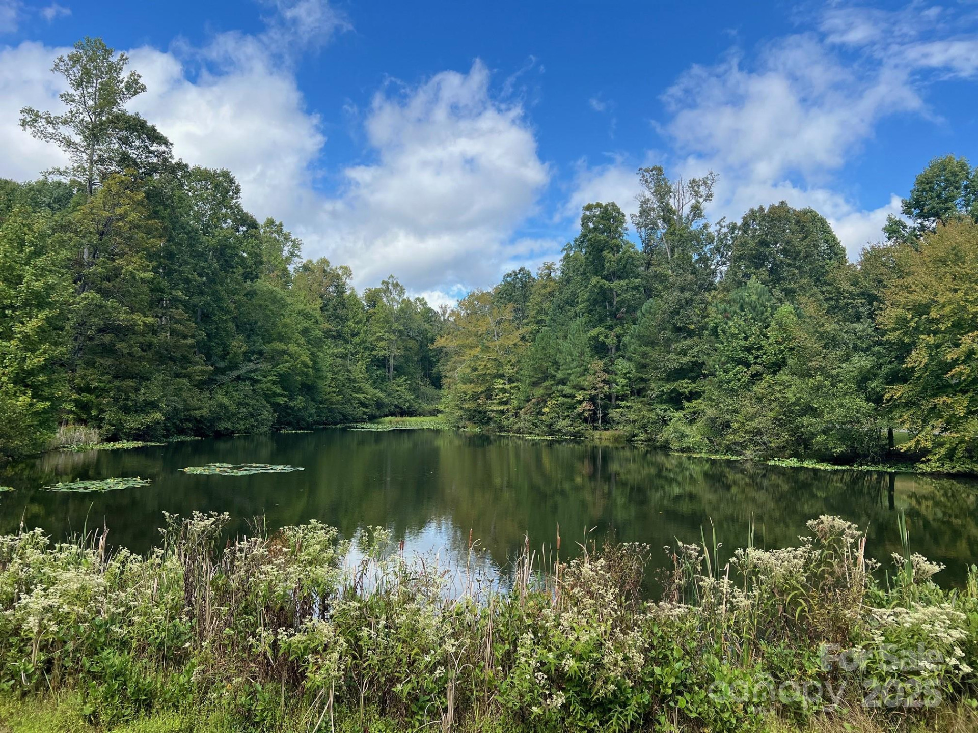 TBD Blue Horse Lane - Photo 4