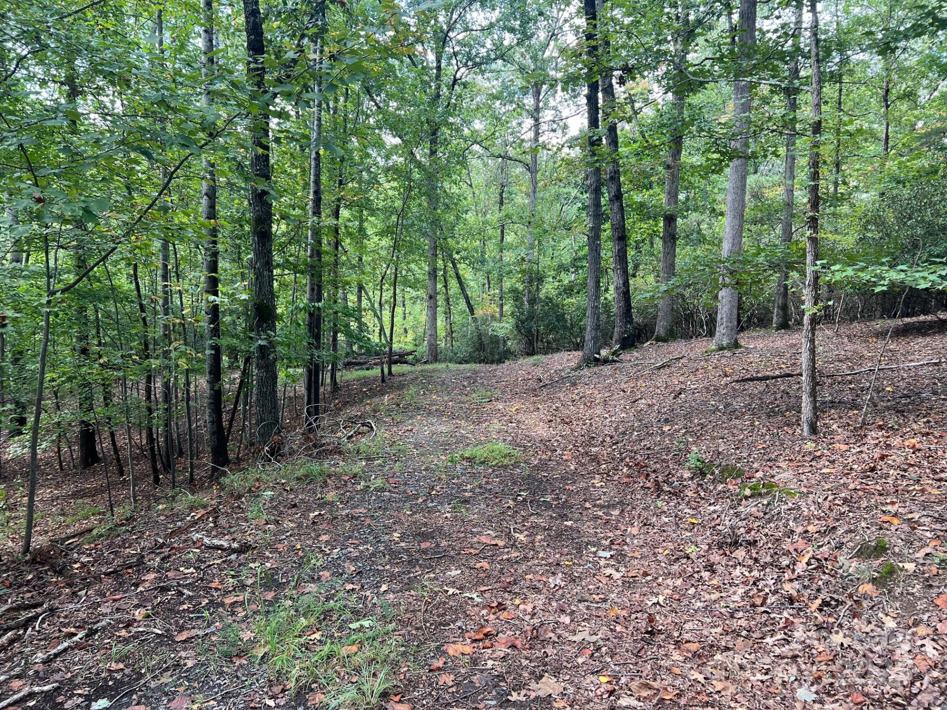 TBD Blue Horse Lane - Photo 5