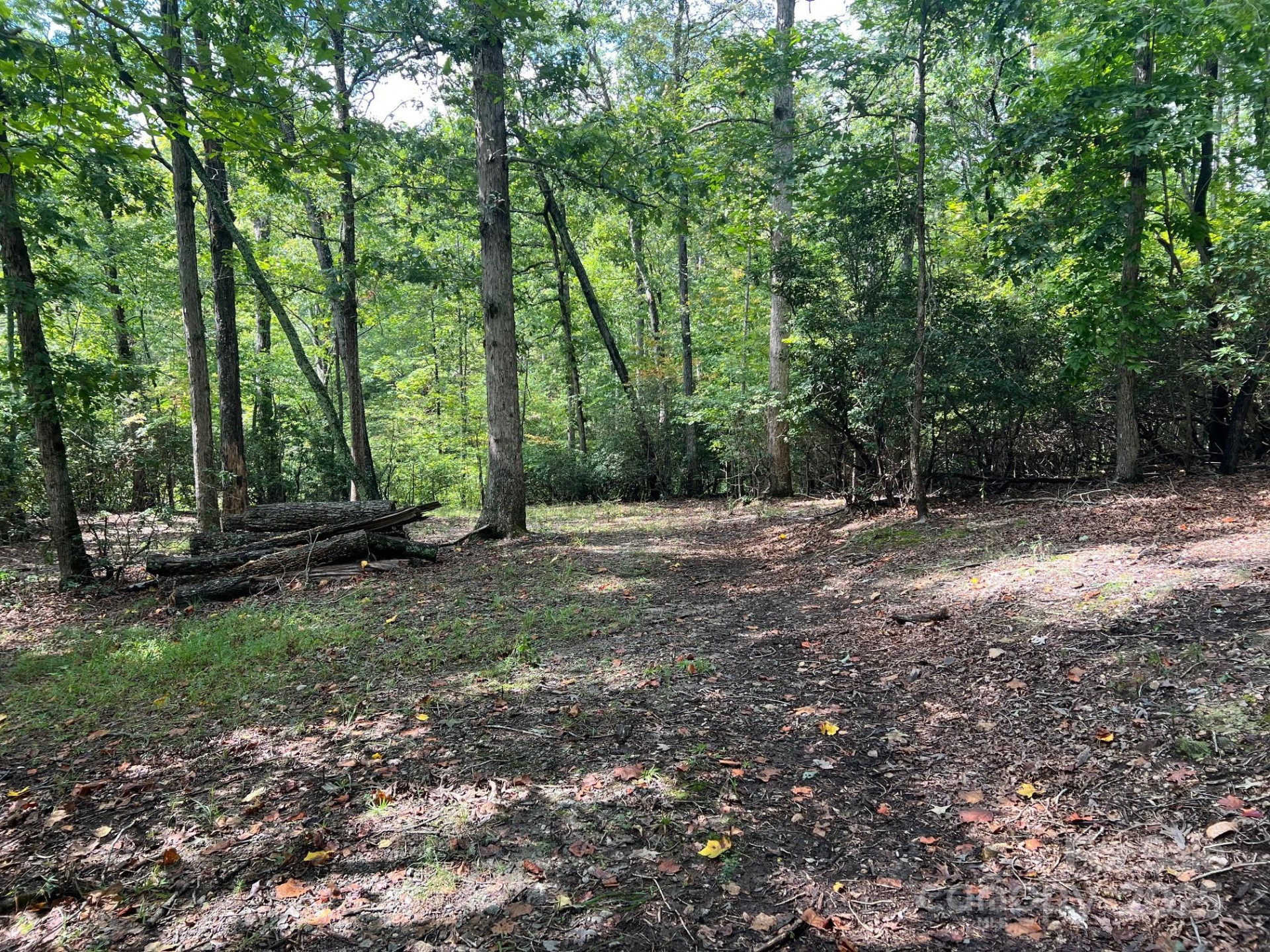 TBD Blue Horse Lane - Photo 6