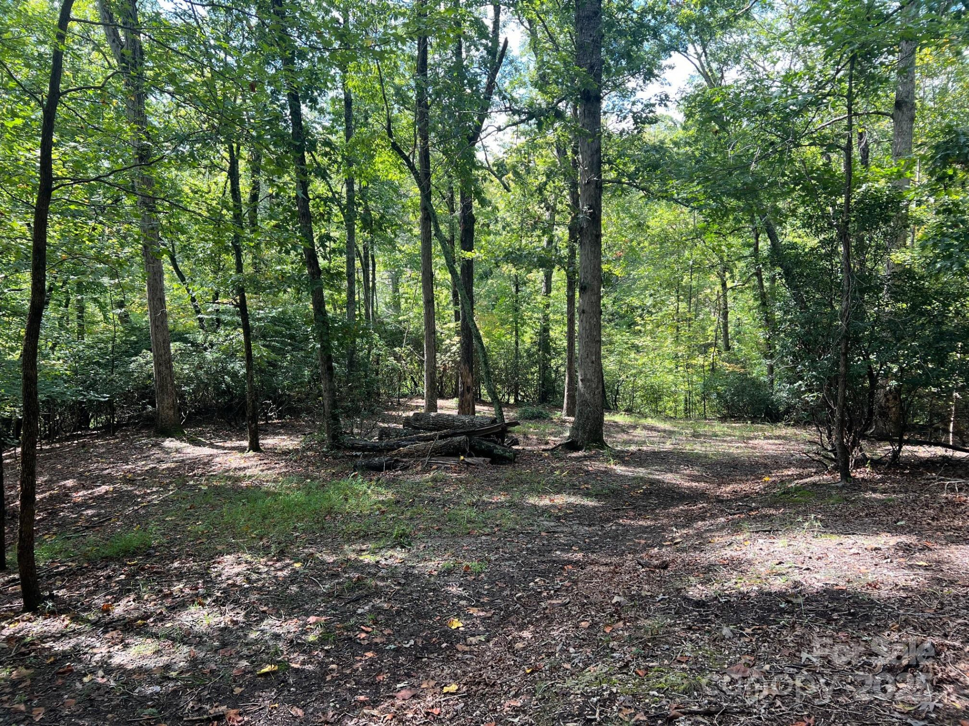 TBD Blue Horse Lane - Photo 7