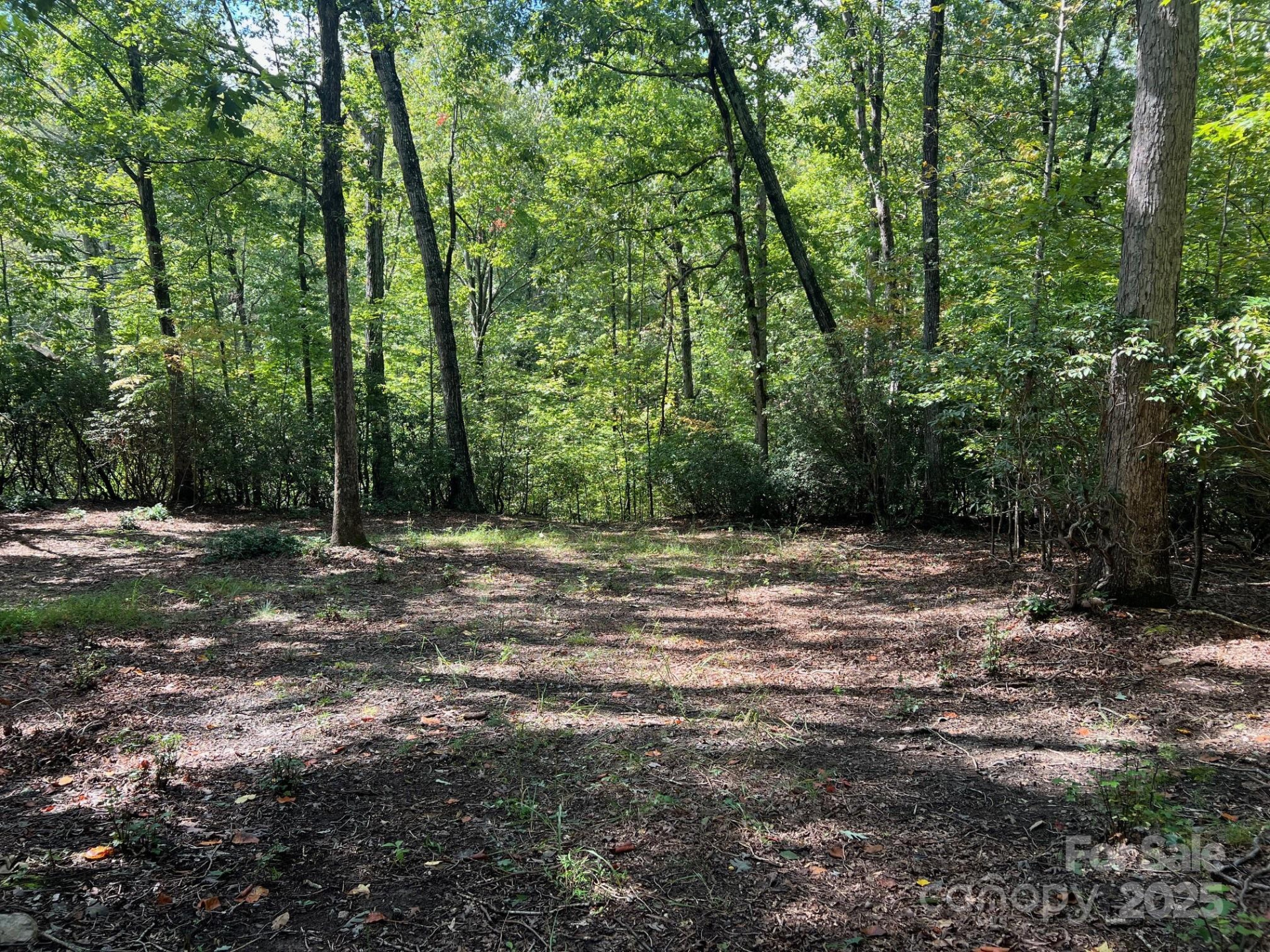 TBD Blue Horse Lane - Photo 8