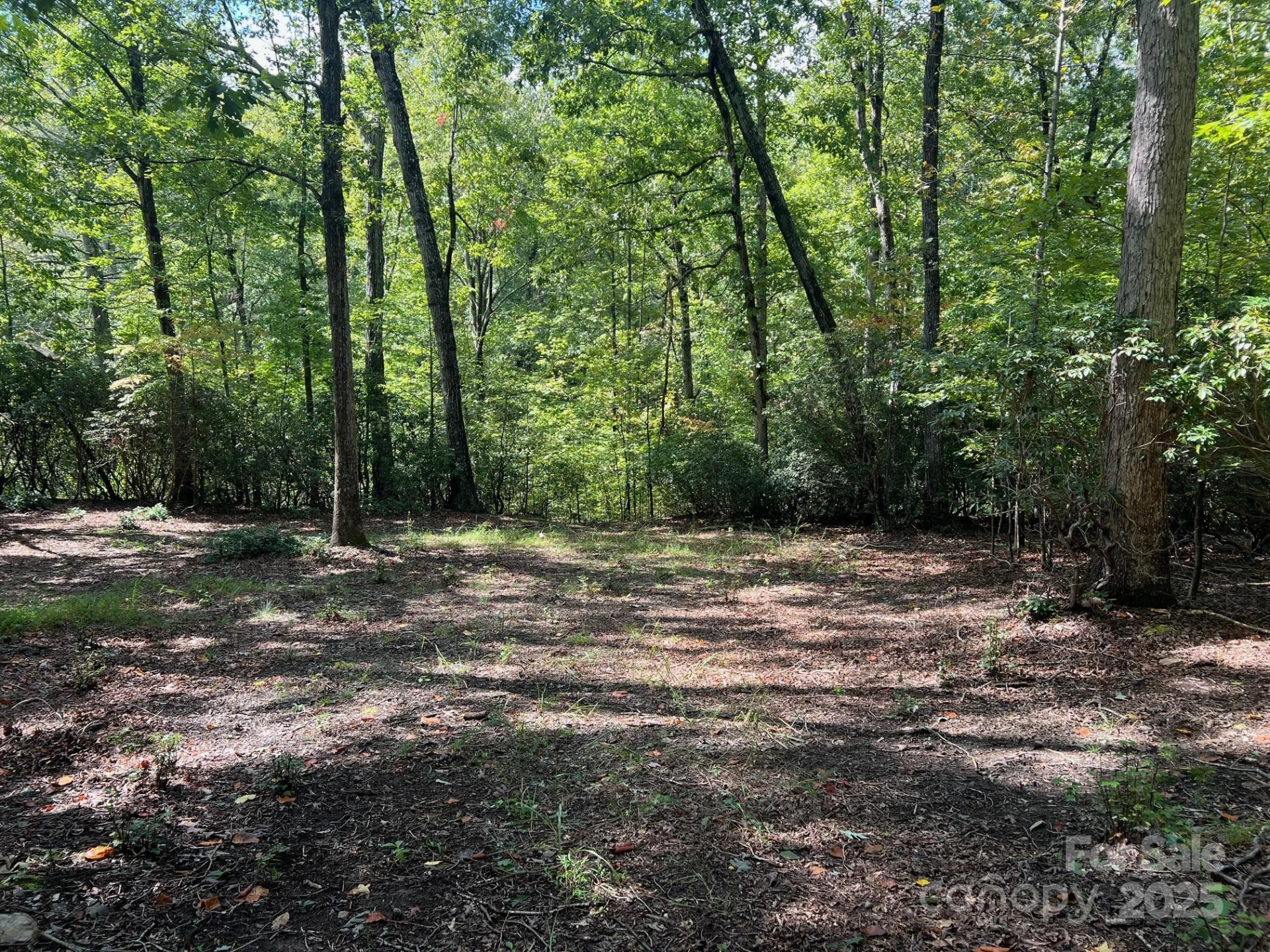 TBD Blue Horse Lane - Photo 8